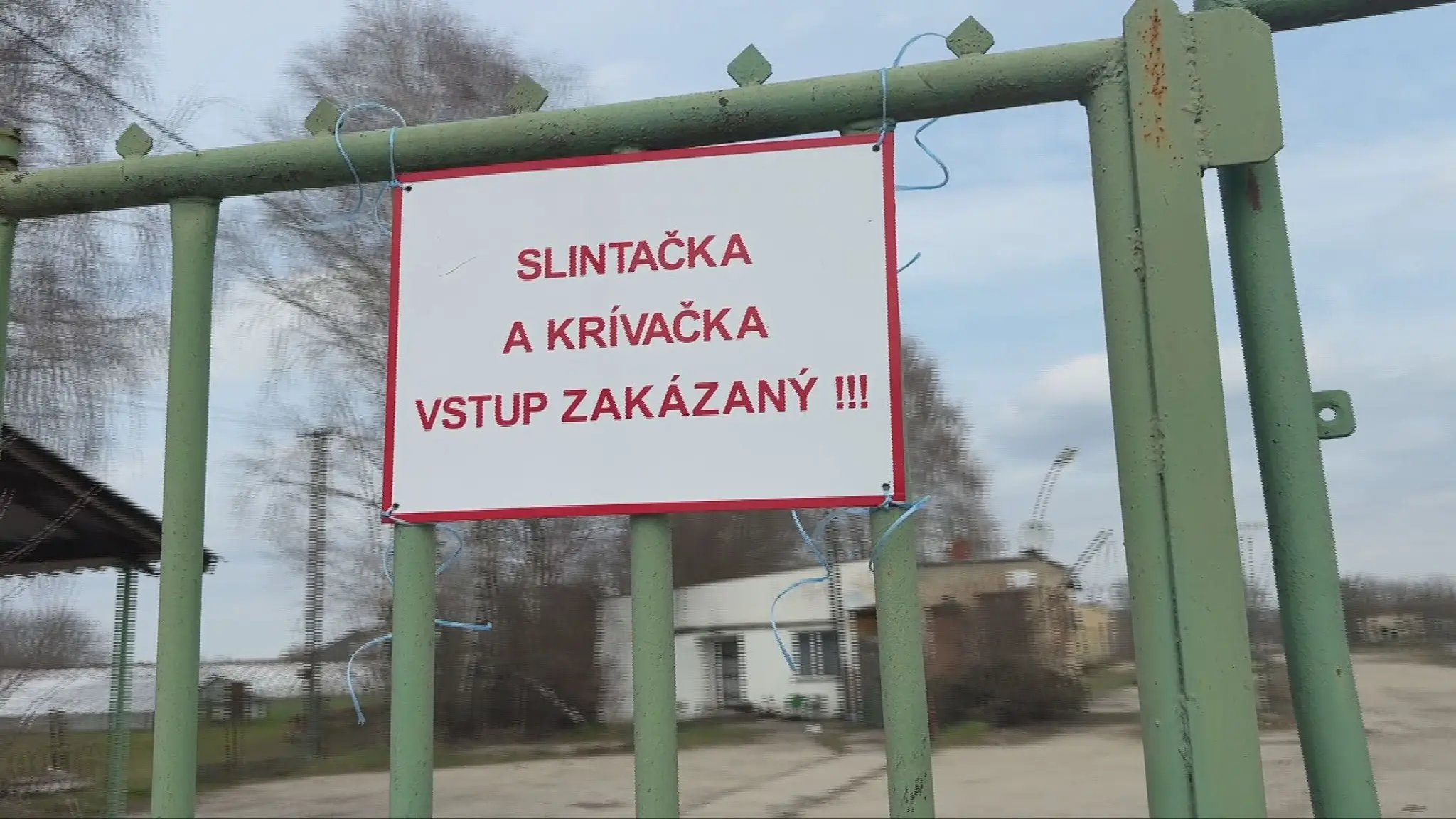 Slintačka a krívačka