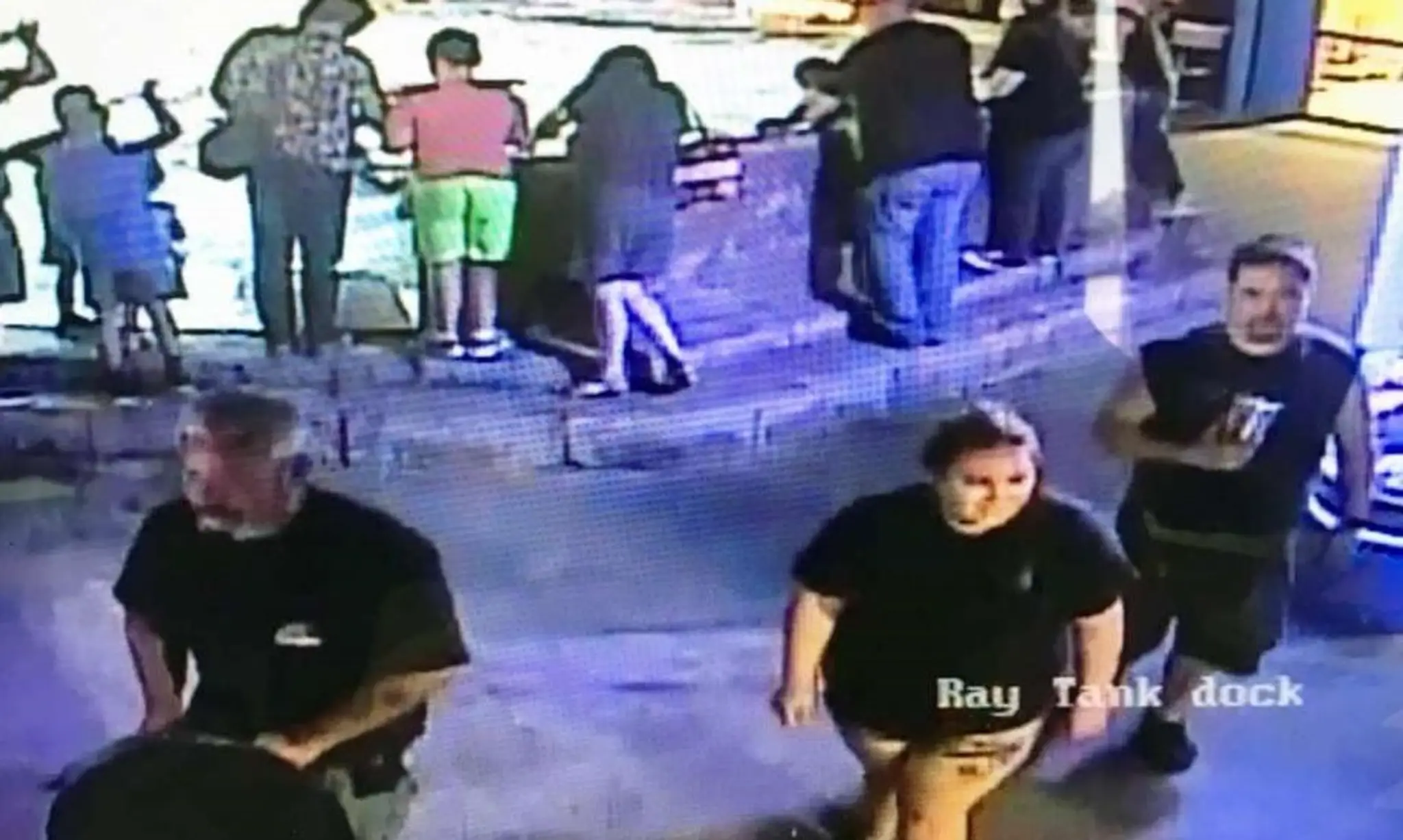 Zlodeji ukradli žraloka a prepašovali ho v kočíku