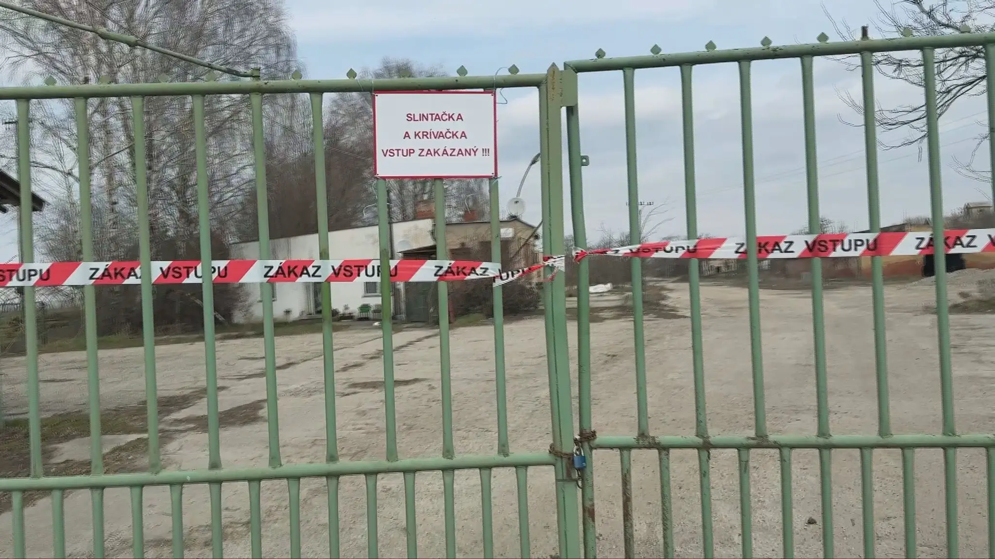 slintačka odškodnenie 