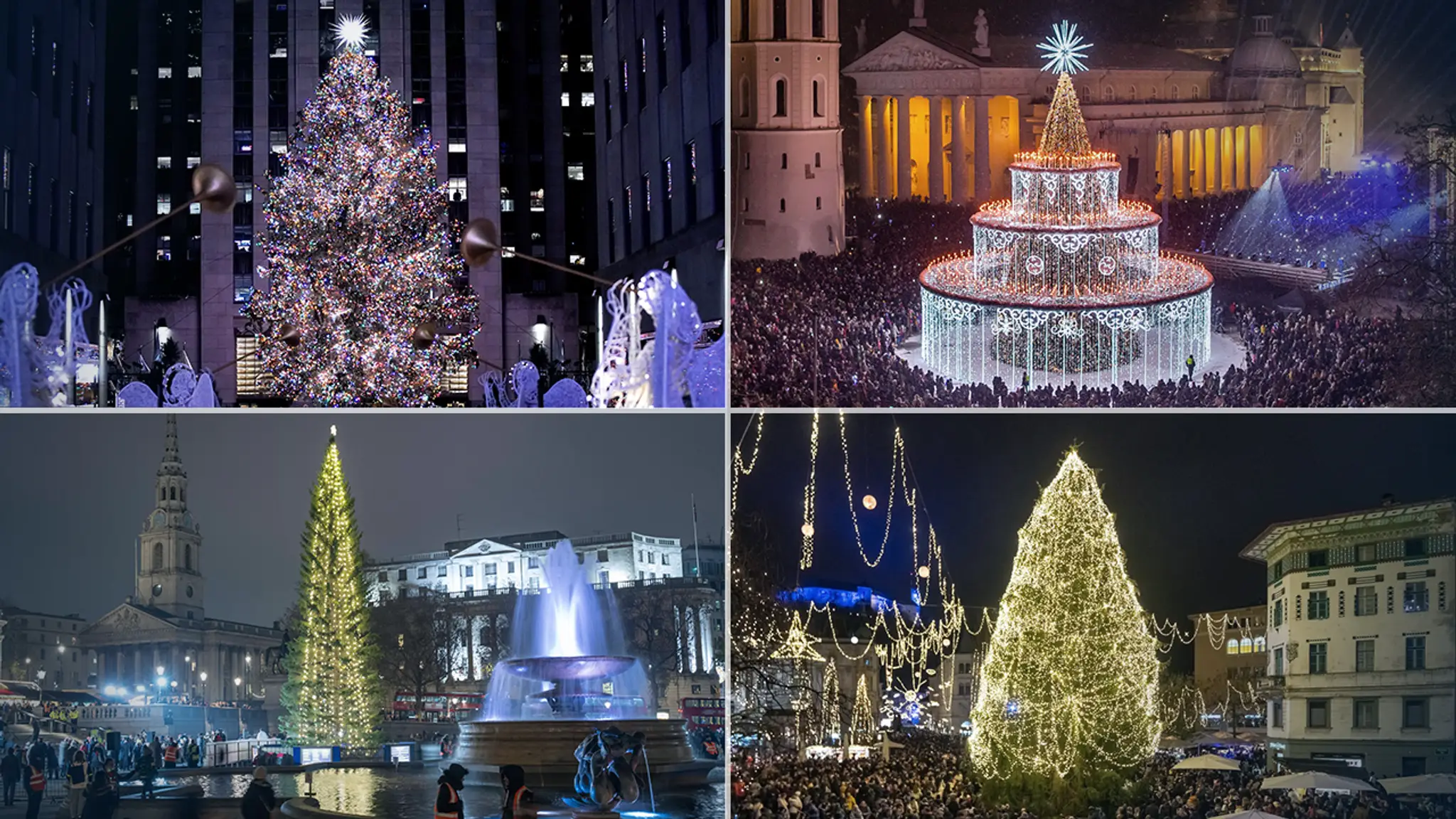 Vianočné stromčeky.