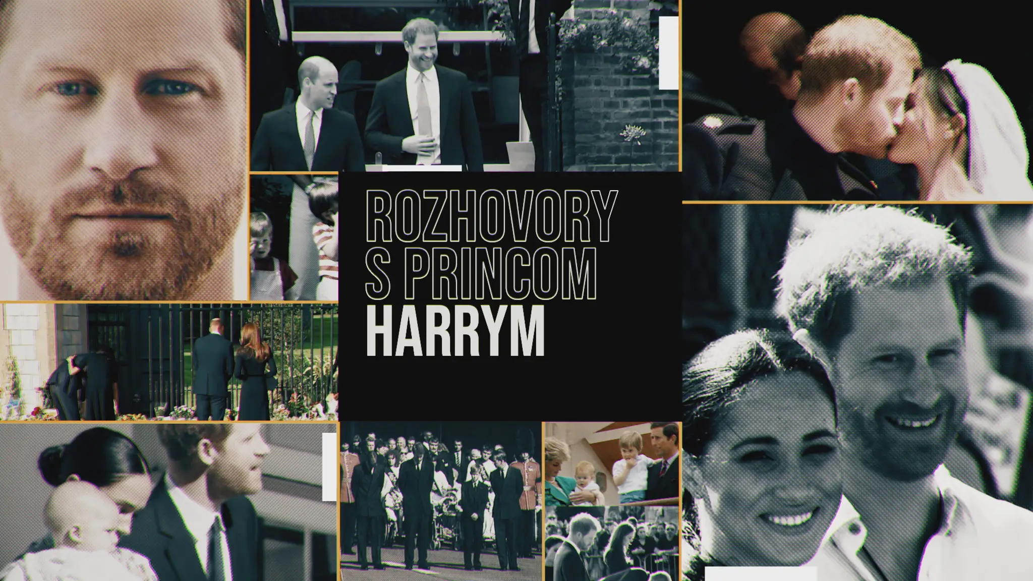 Rozhovory s princom Harrym - ilustračný obrázok