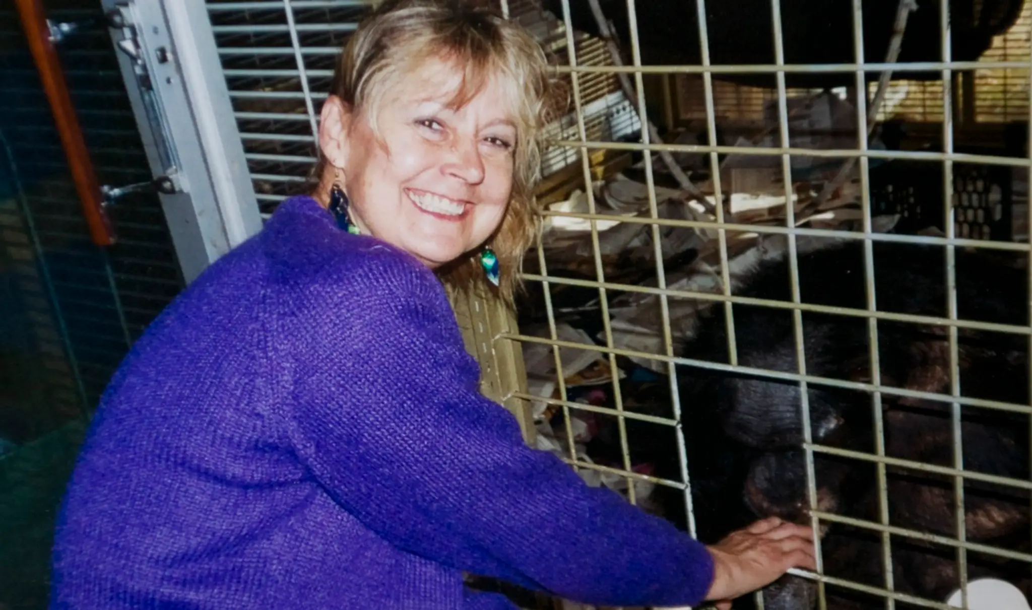 Na ženu zaútočil šimpanz.
