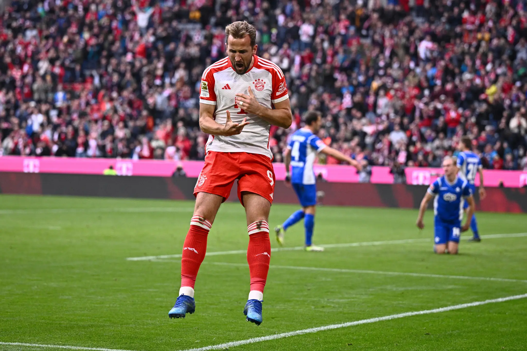 Harry Kane