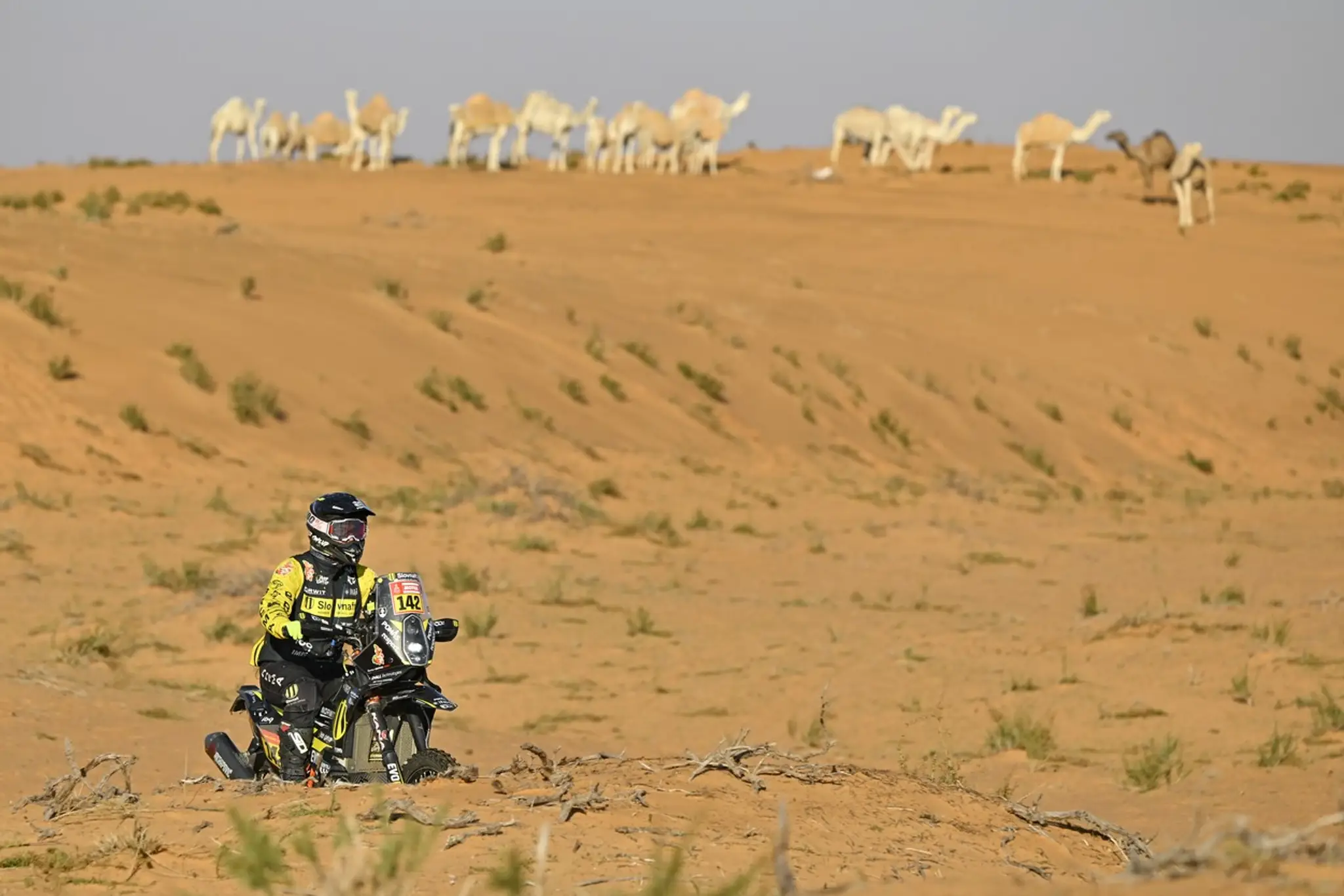 Štefan Svitko počas šiestej etapy Rally Dakar 2023