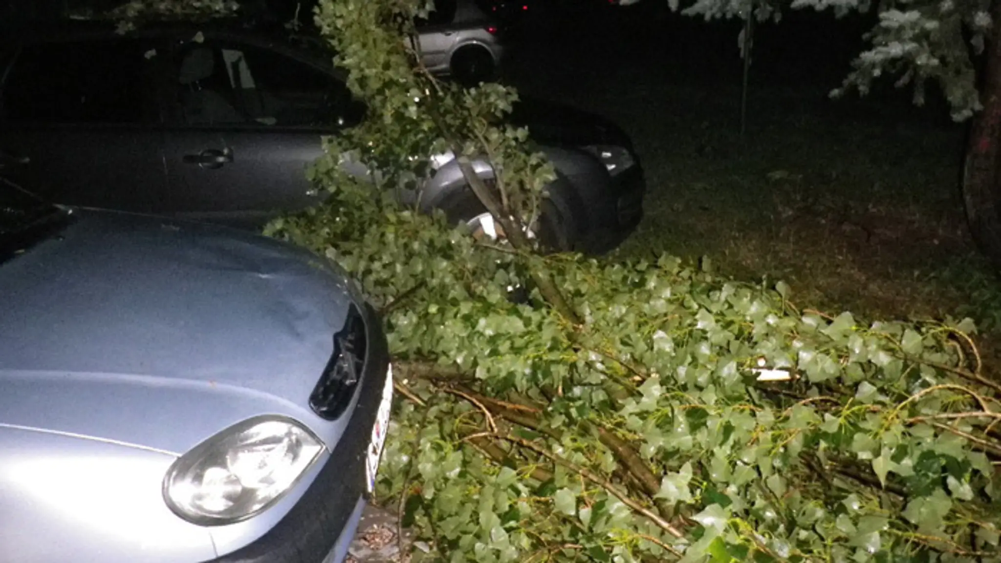 Na snímke polámané stromy po búrke v okrese Bánovce nad Bebravou.