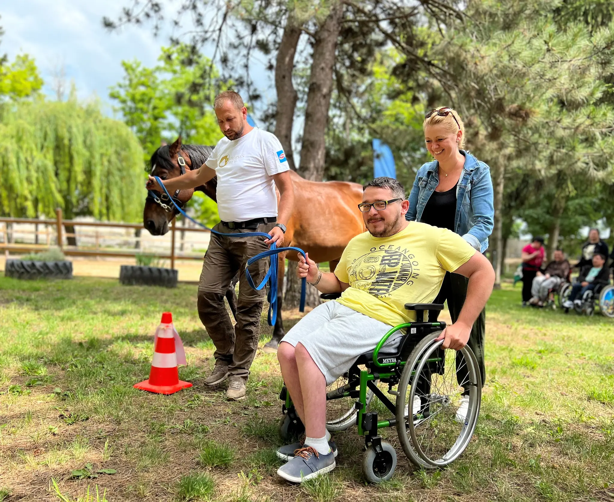 Horse Heal