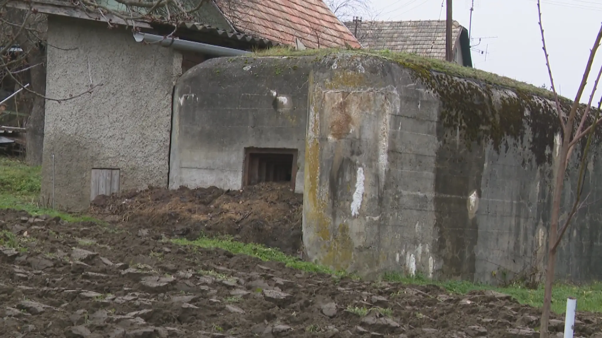 Bunker