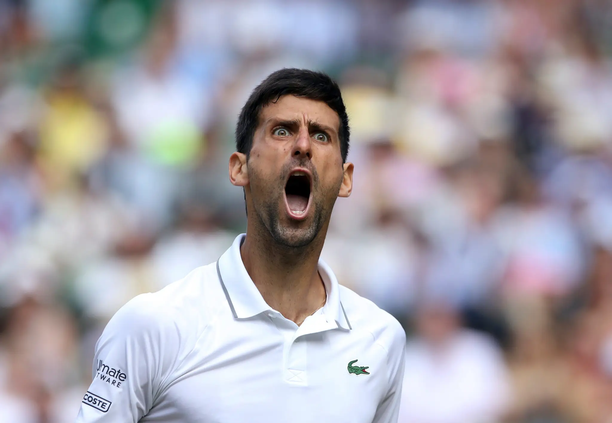 Tenista Novak Djokovič v semifinále Wimbledonu.