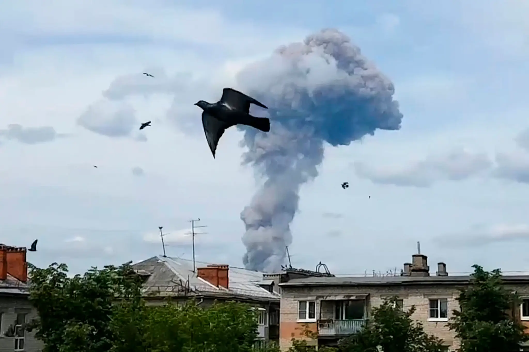 snopko_tvnoviny.mp4