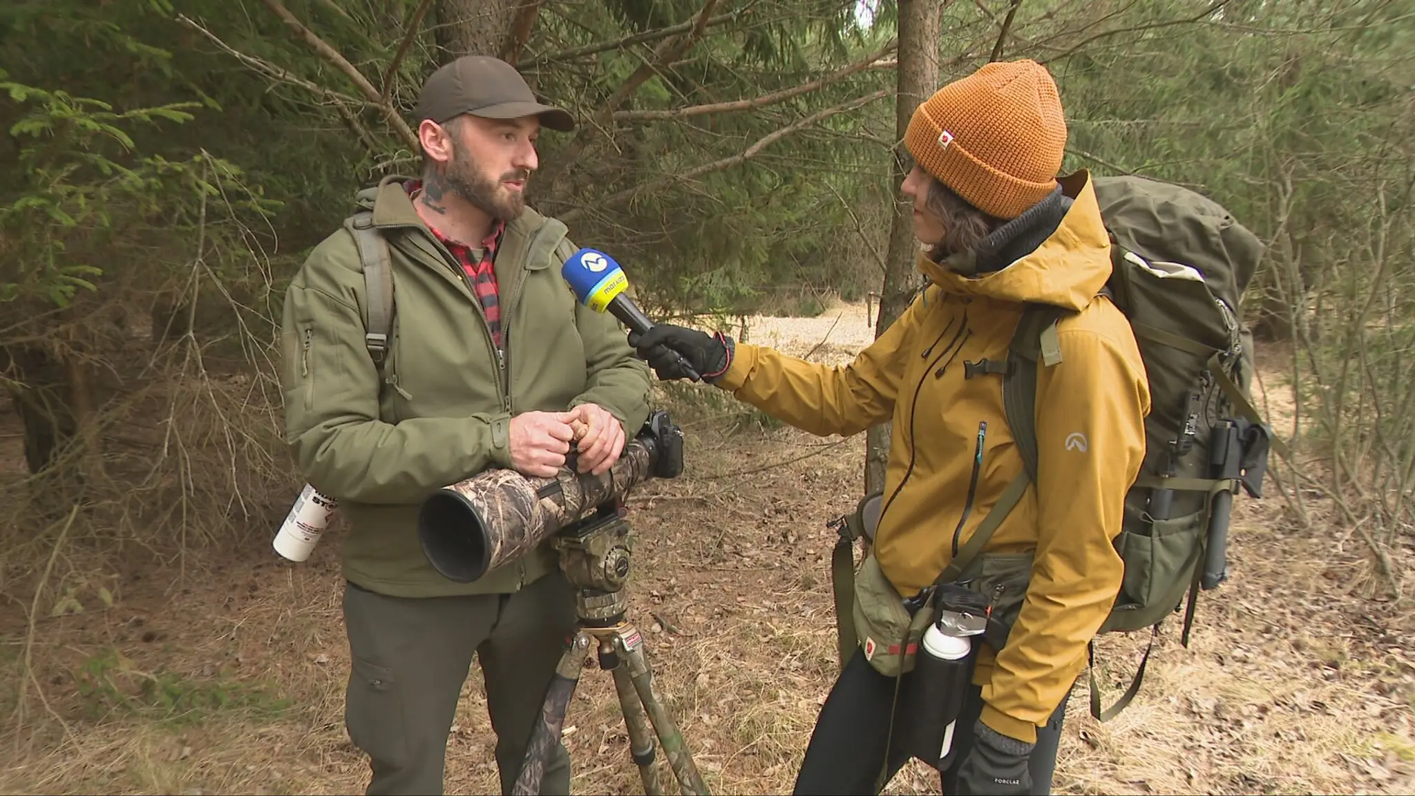 Rozhovor s pozorovateľom medveďov Radovanom Haluzom