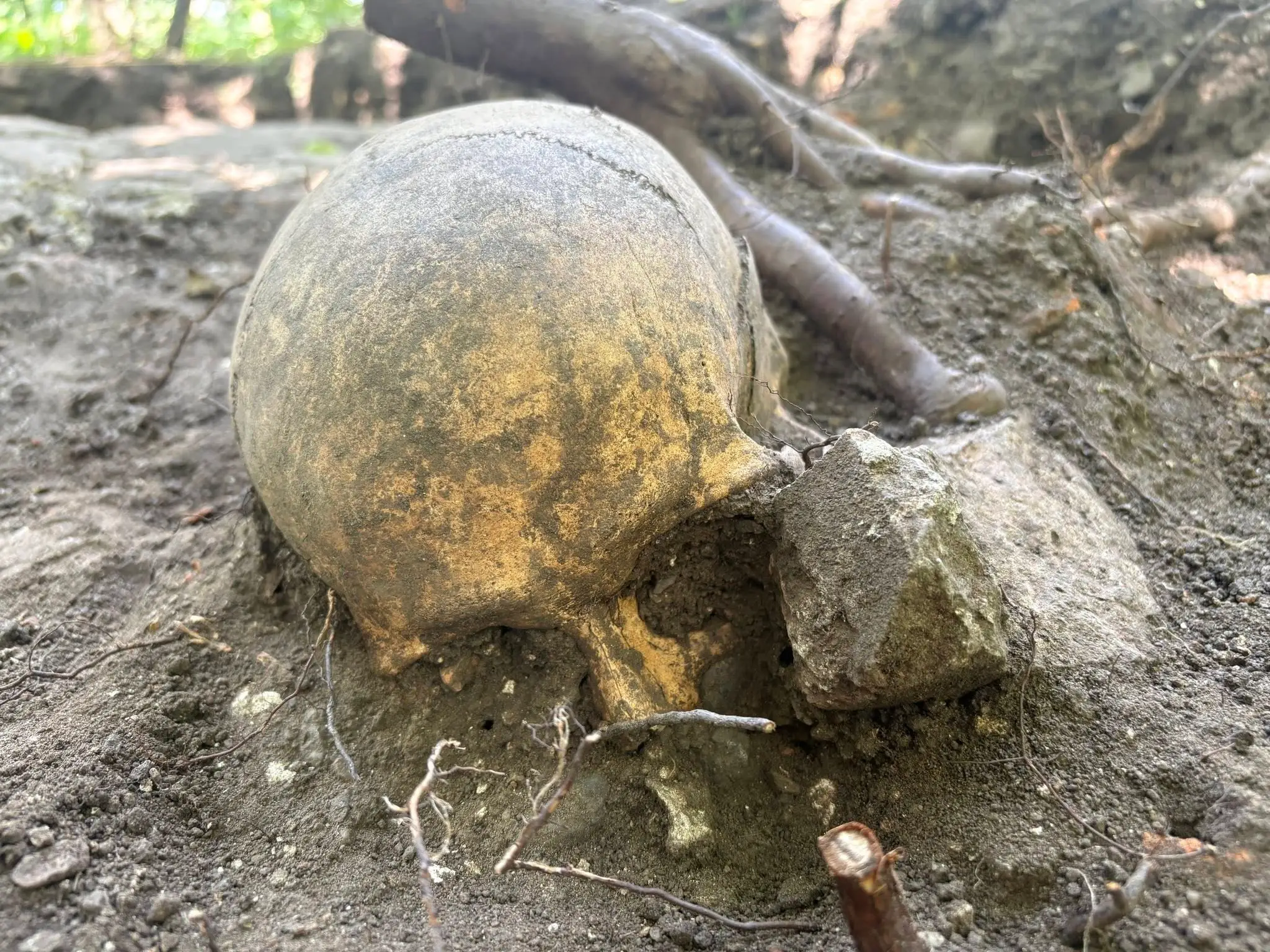 Archeologické nálezy na Stupavskej šibenici.