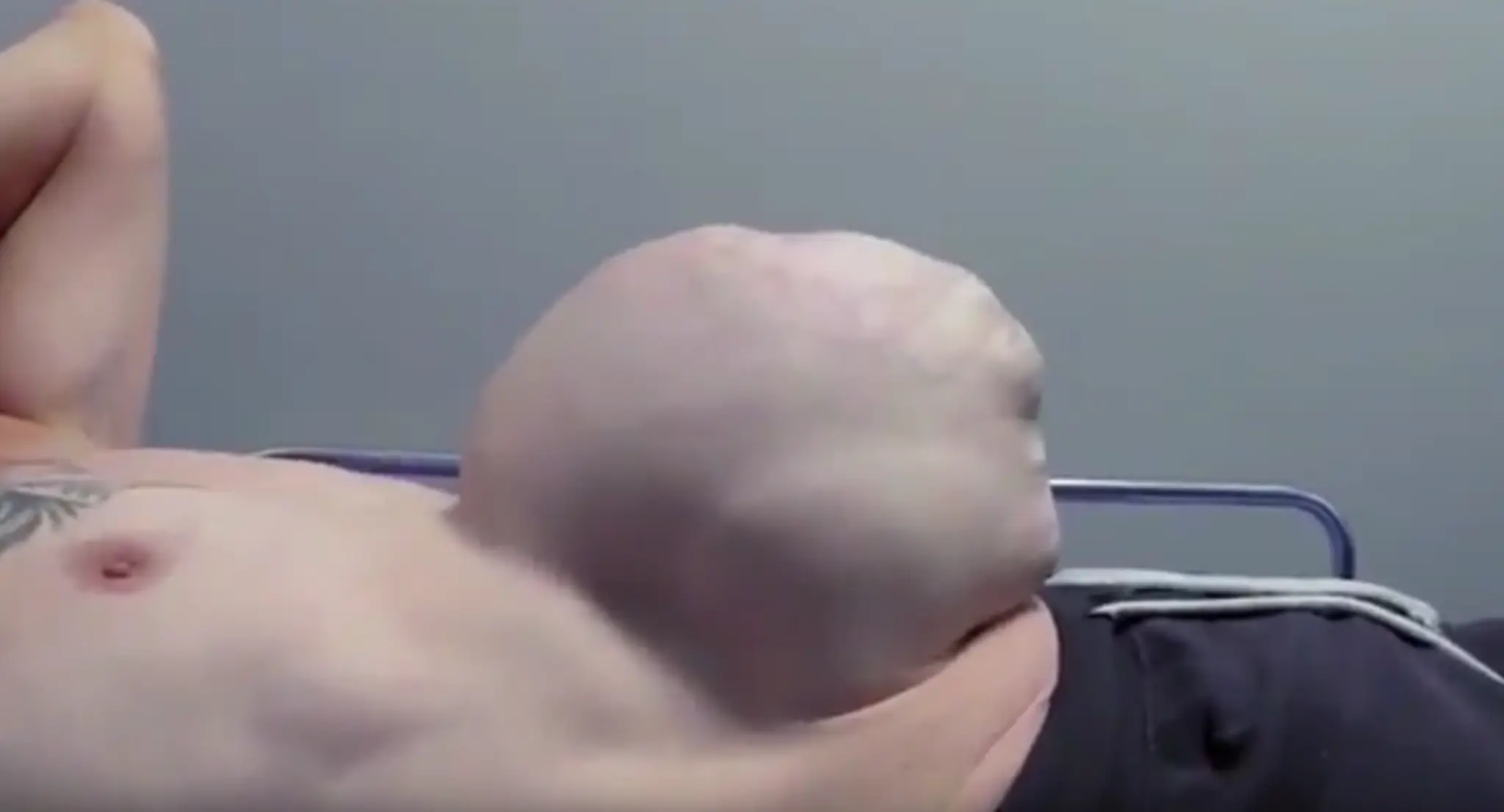 Bez názvu.png