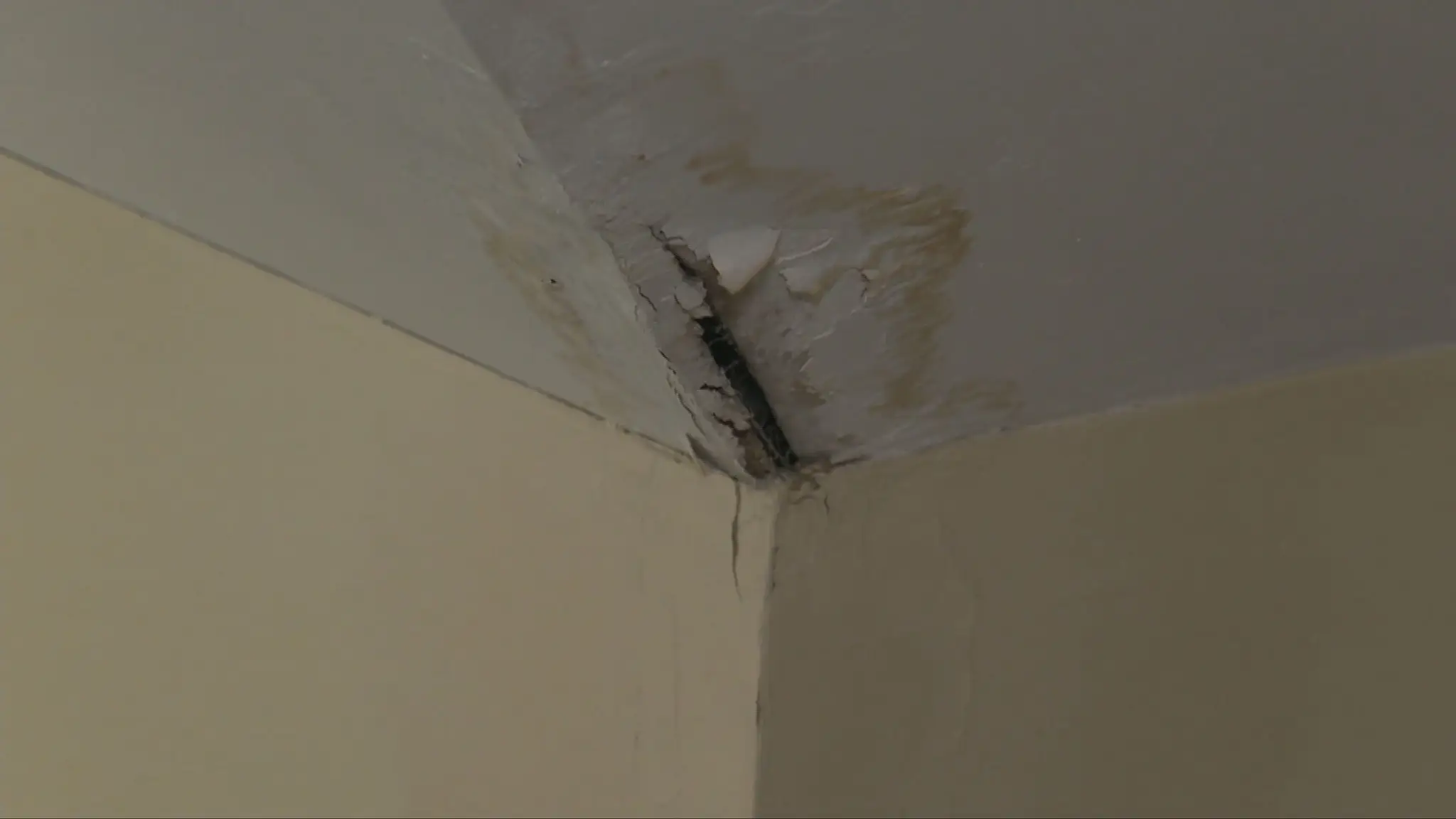 Zatekajúca strecha košického gymnázia