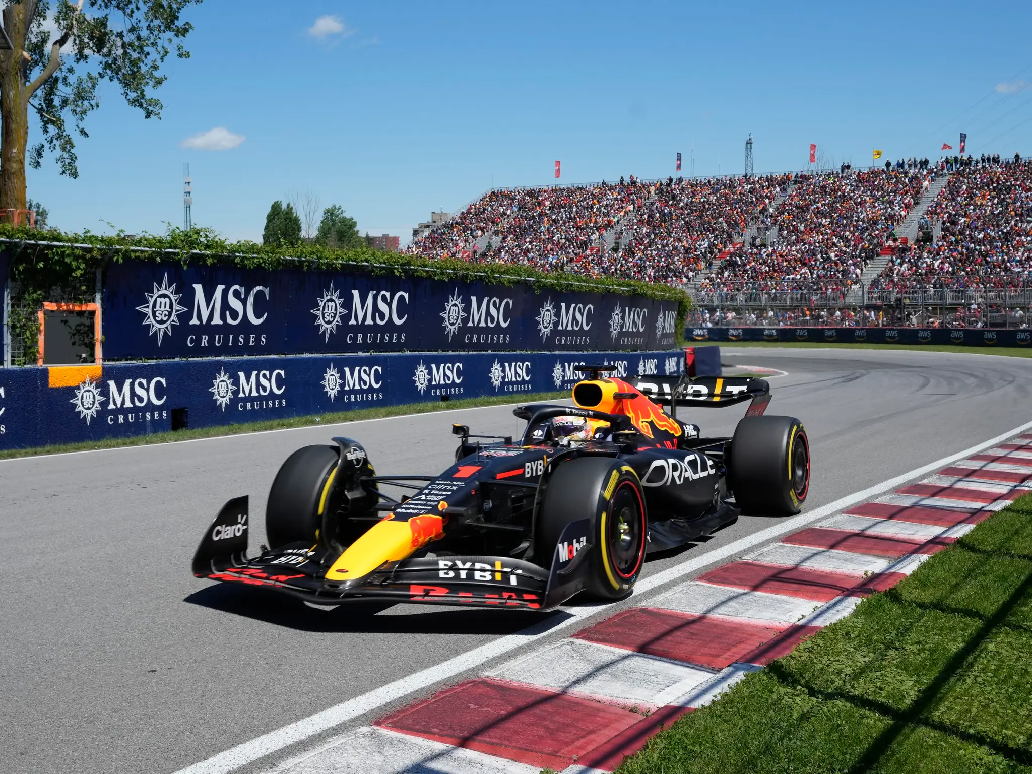 Max Verstappen.