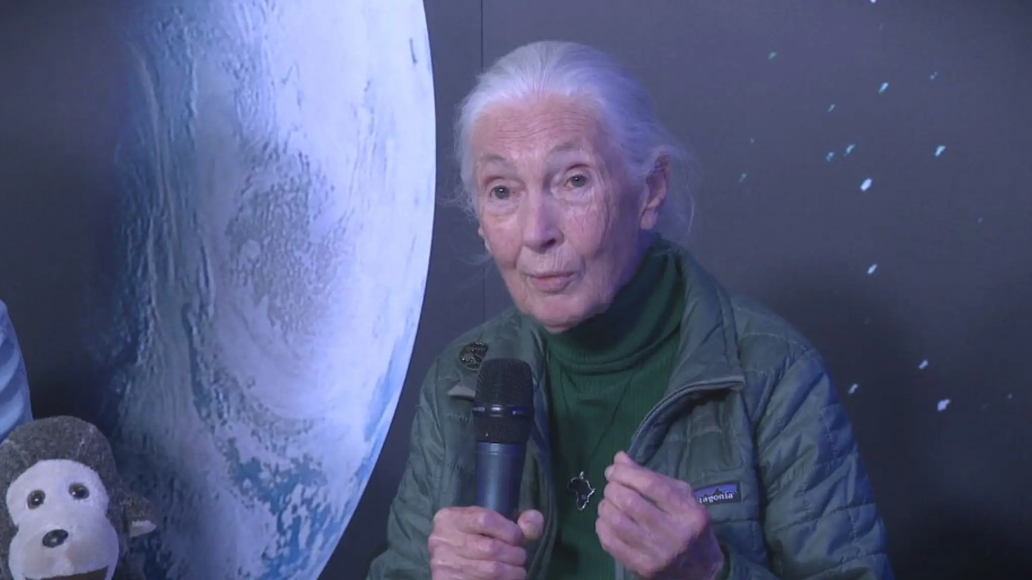 Jane Goodall. 