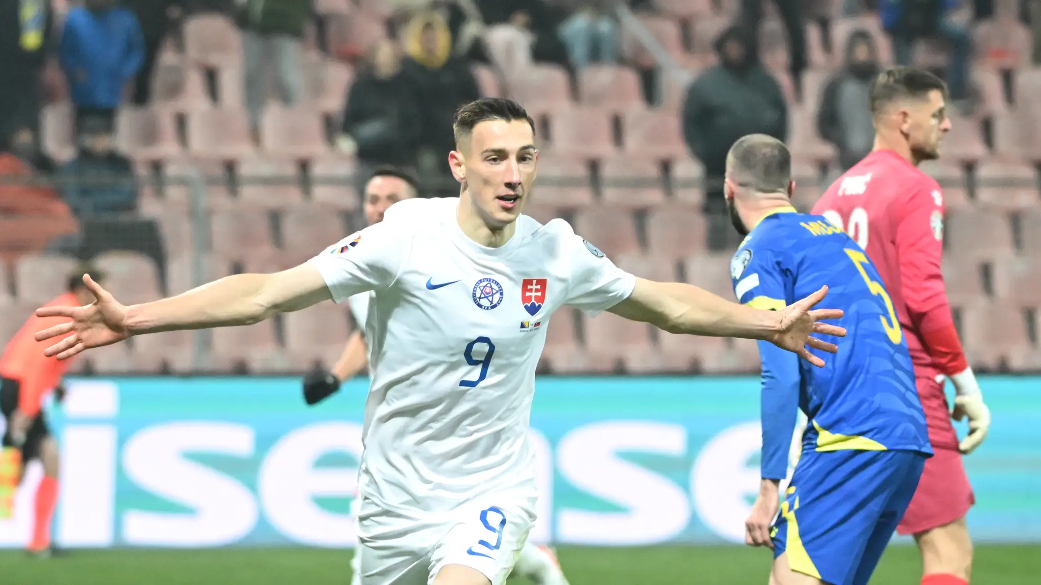 Bosna a Hercegovina - Slovensko.
