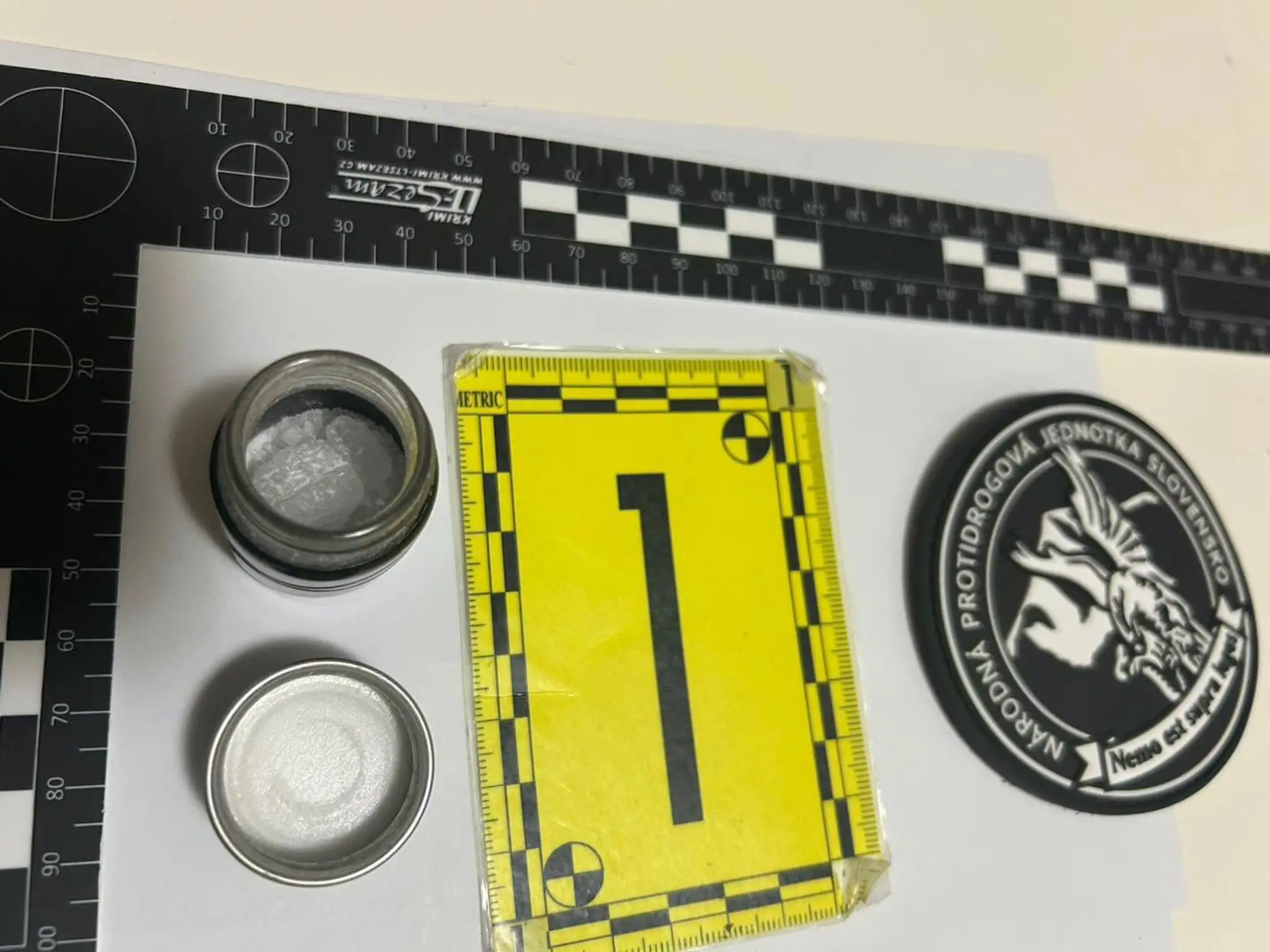 Policajná akcia Leo