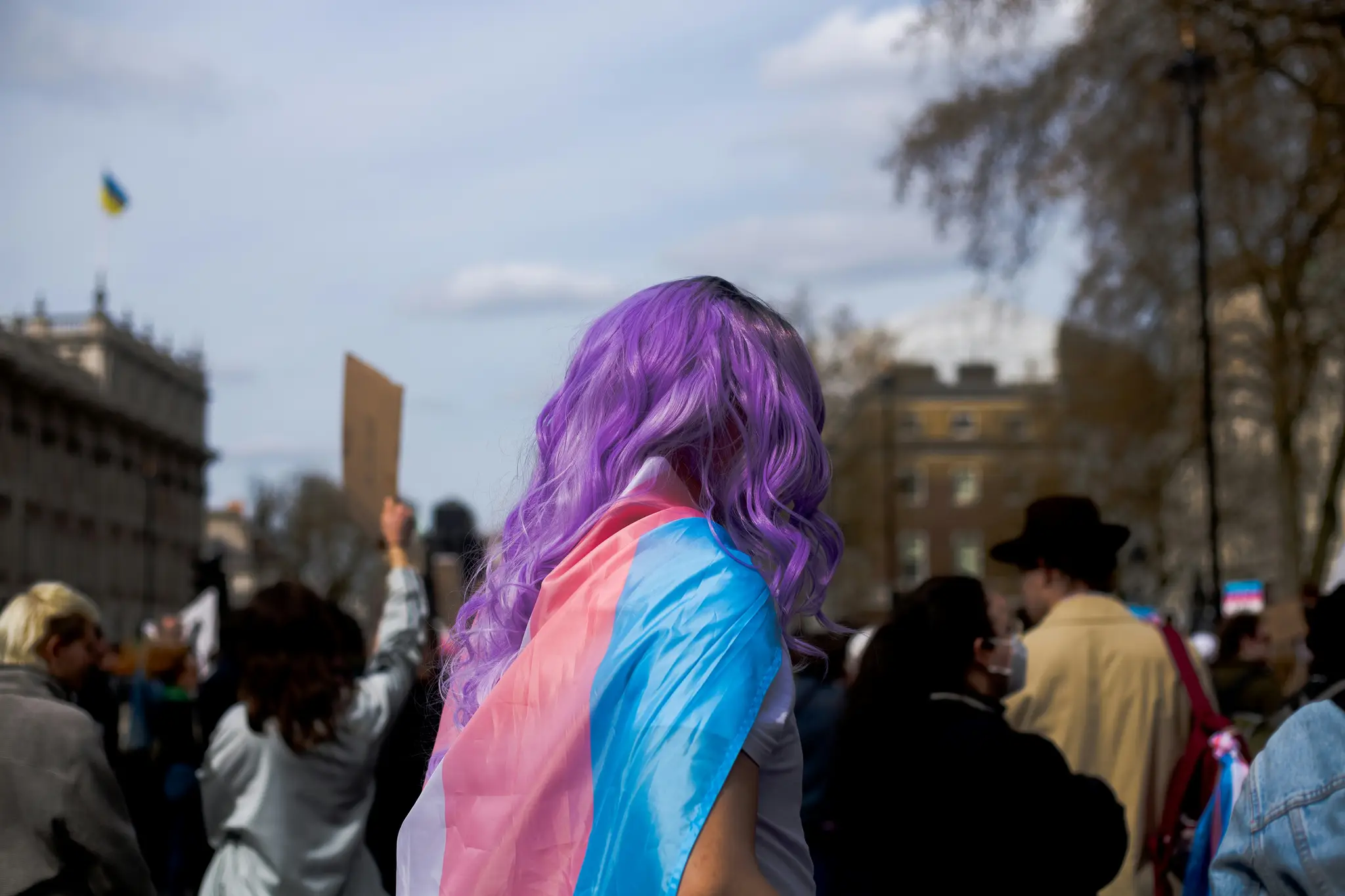 Vlajka transgender