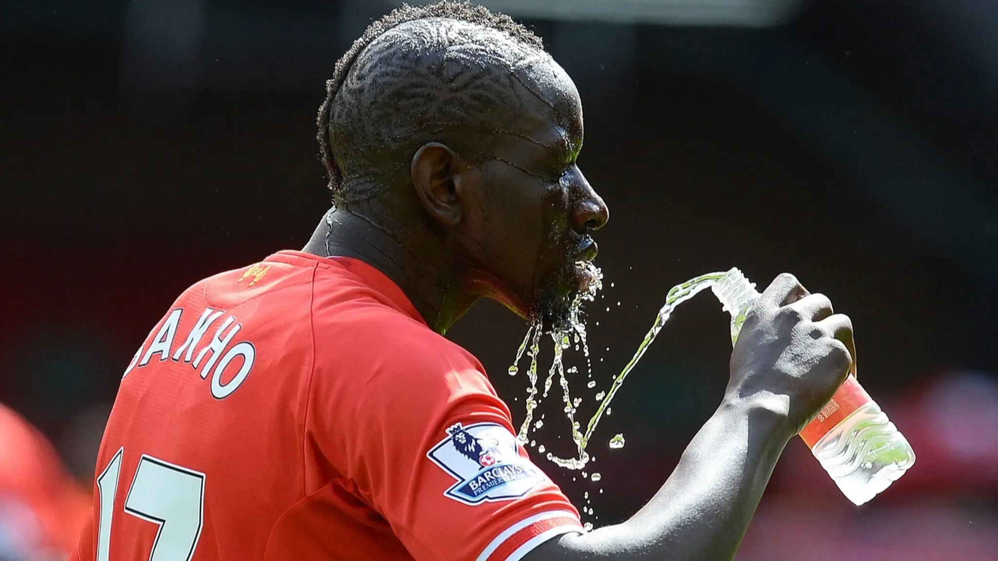 Mamadou Sakho (cropped)