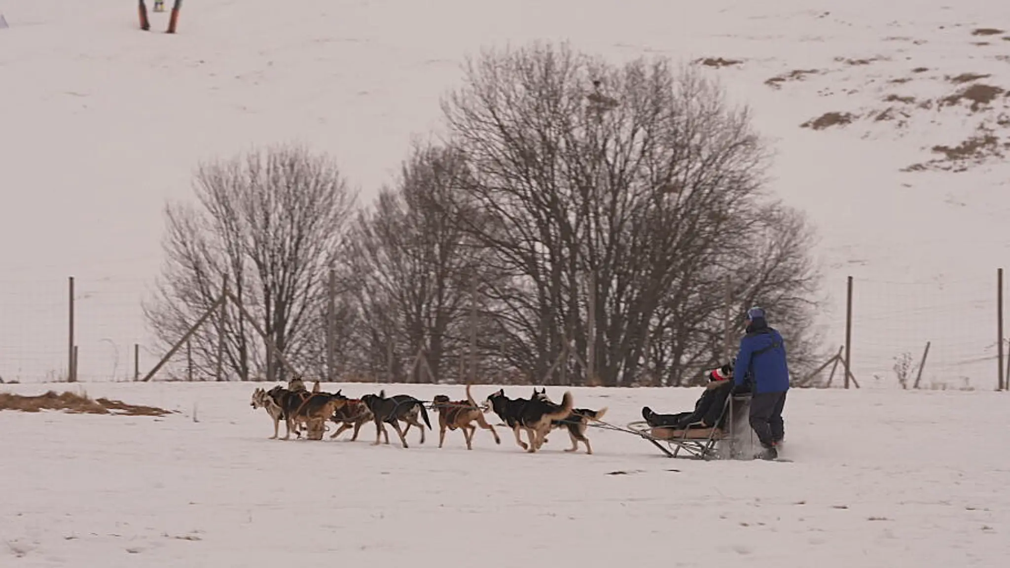 Mushing na Donovaloch. 