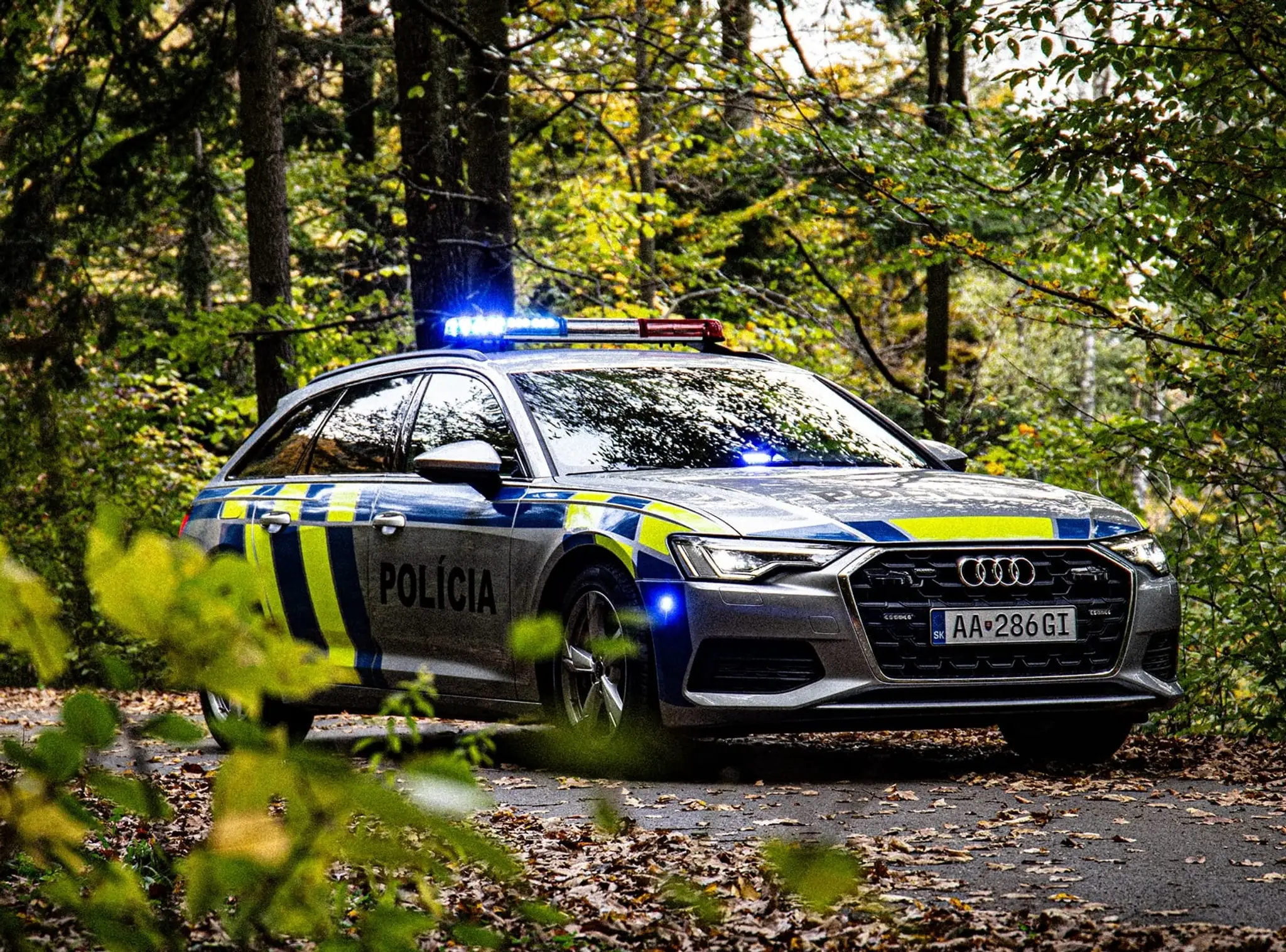 Polícia. Ilustračná snímka.
