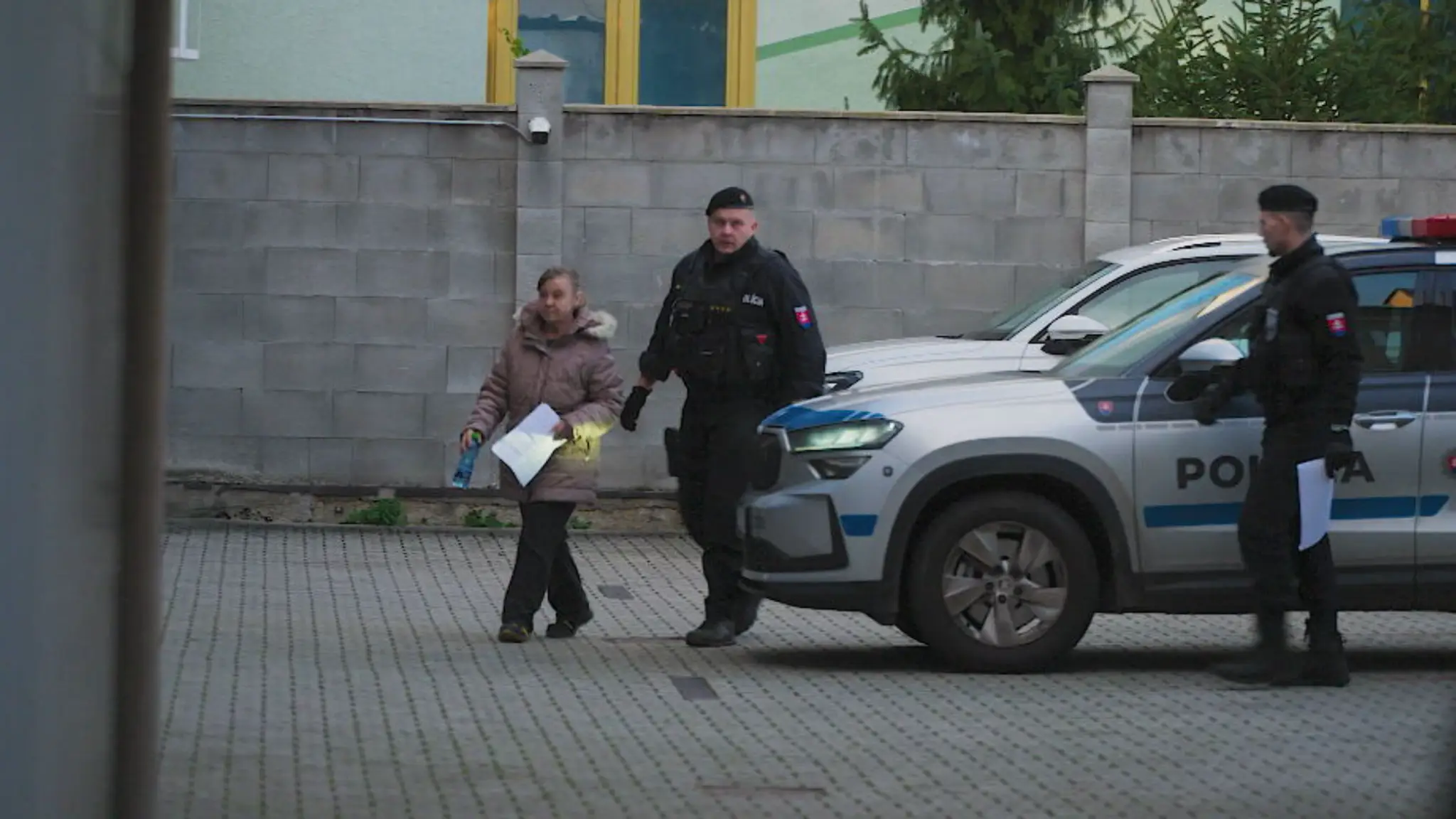 Žena obvinená z vraždy druha ide do väzby.