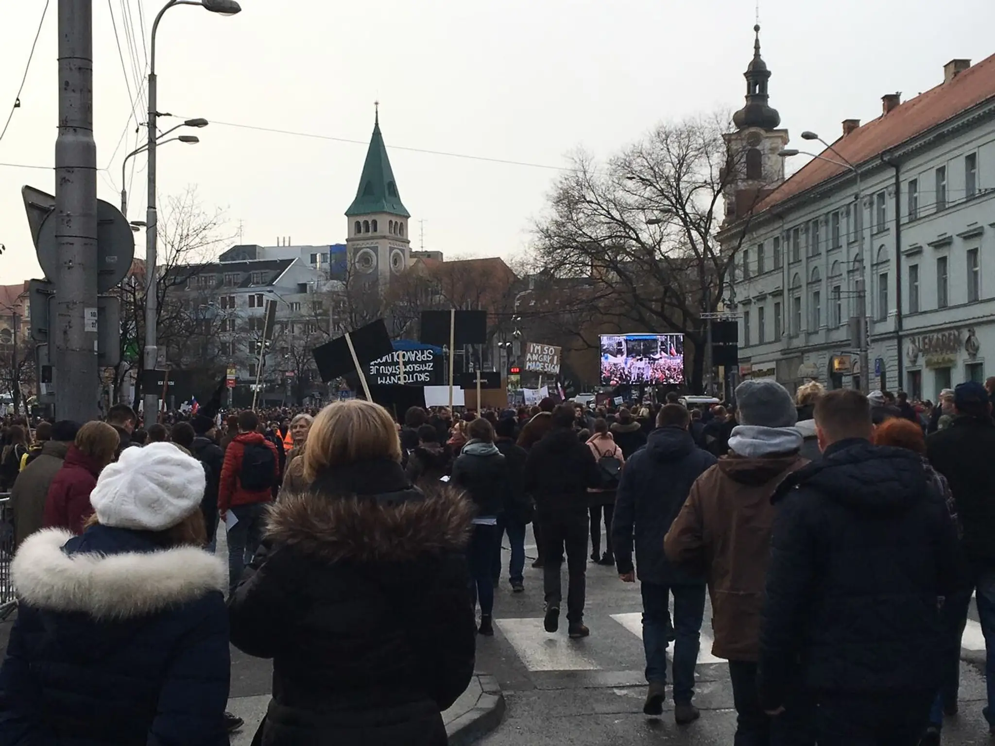 Na bratislavskom proteste Za slušné Slovensko. 