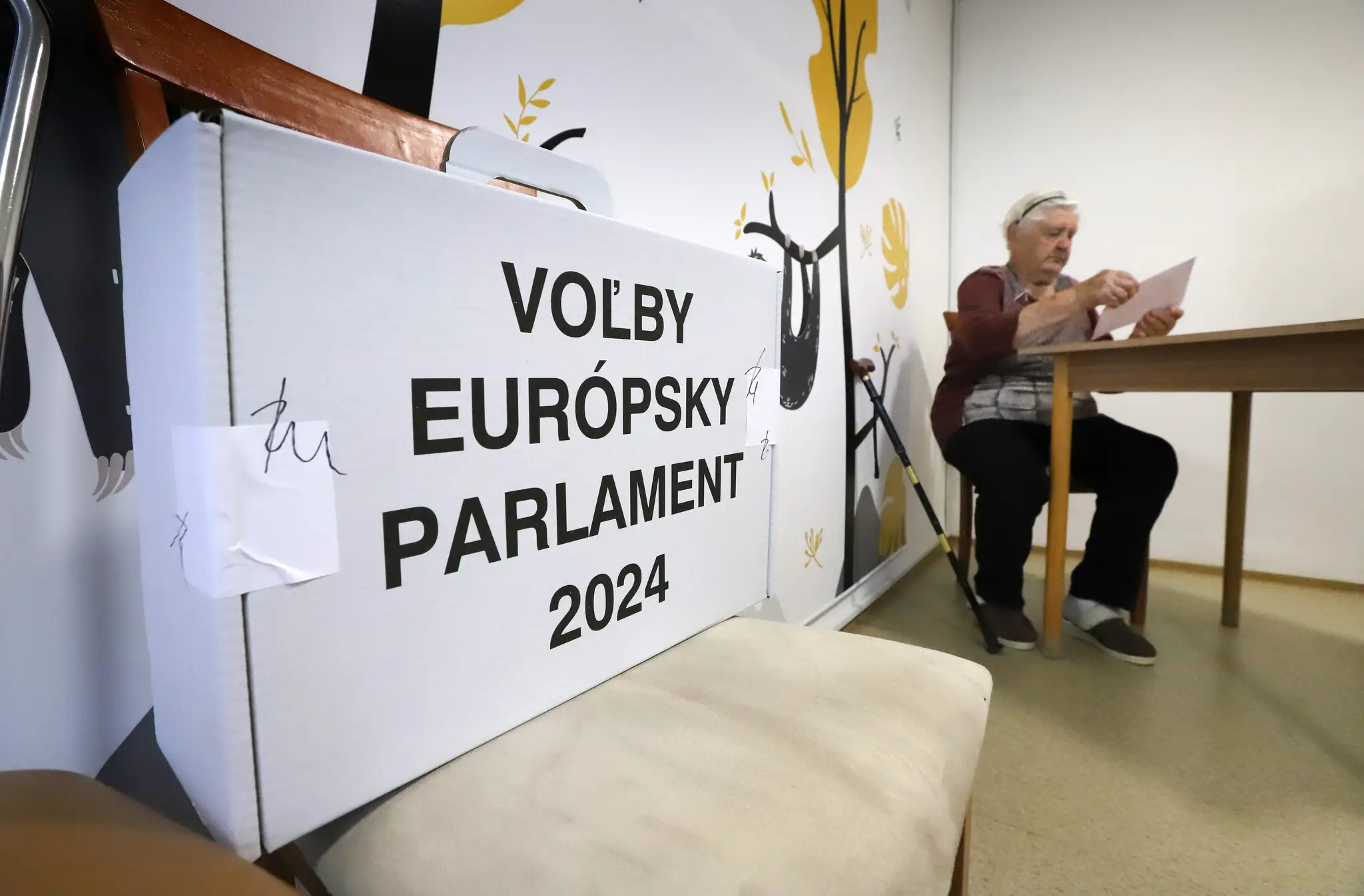 Eurovoľby v zariadení pre seniorov 