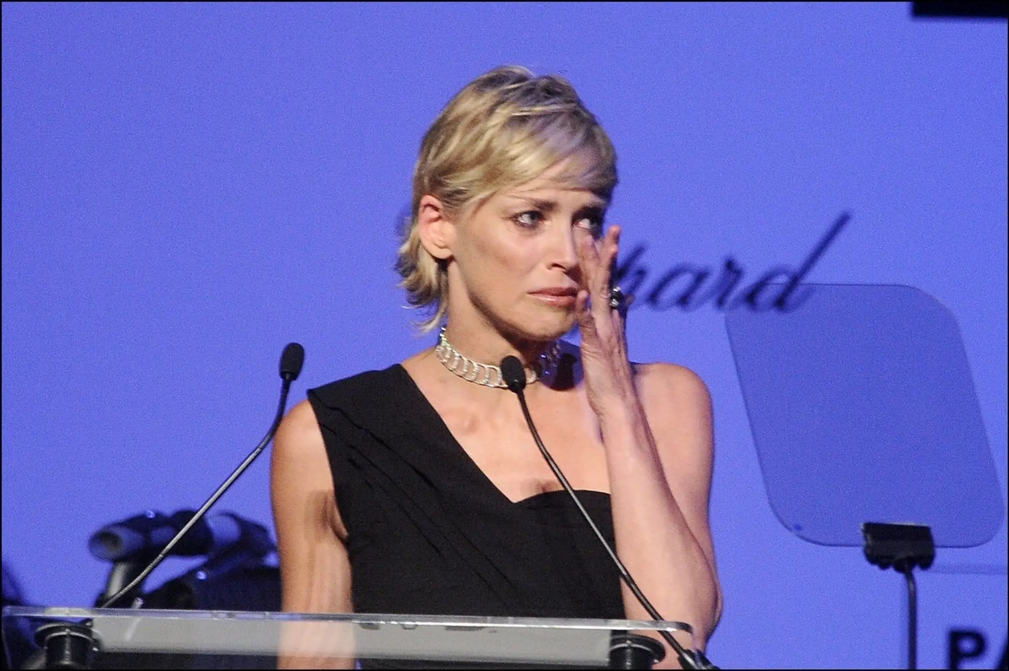 Sharon Stone na archívnej snímke.