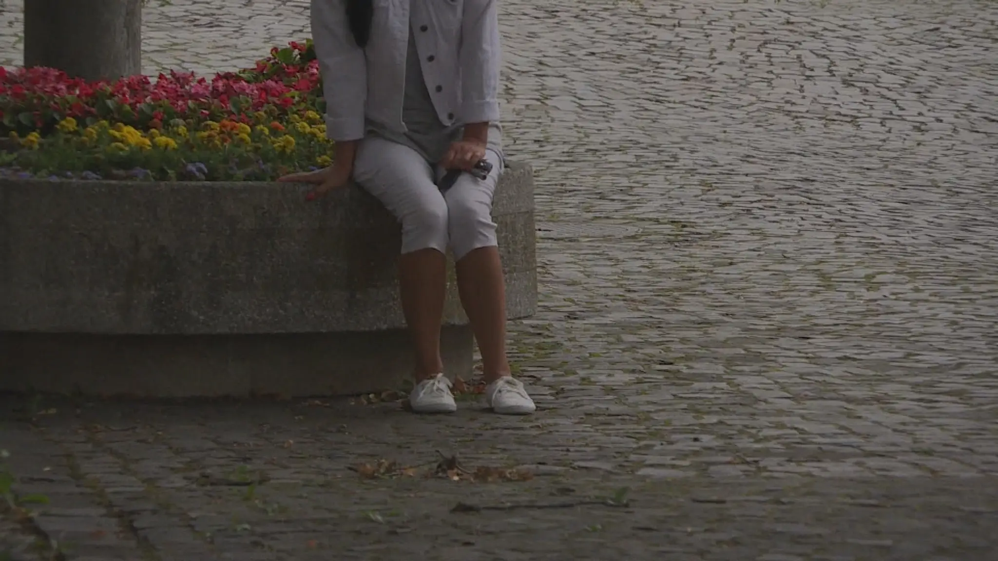 Týraný psík z Banskej Bystrice.