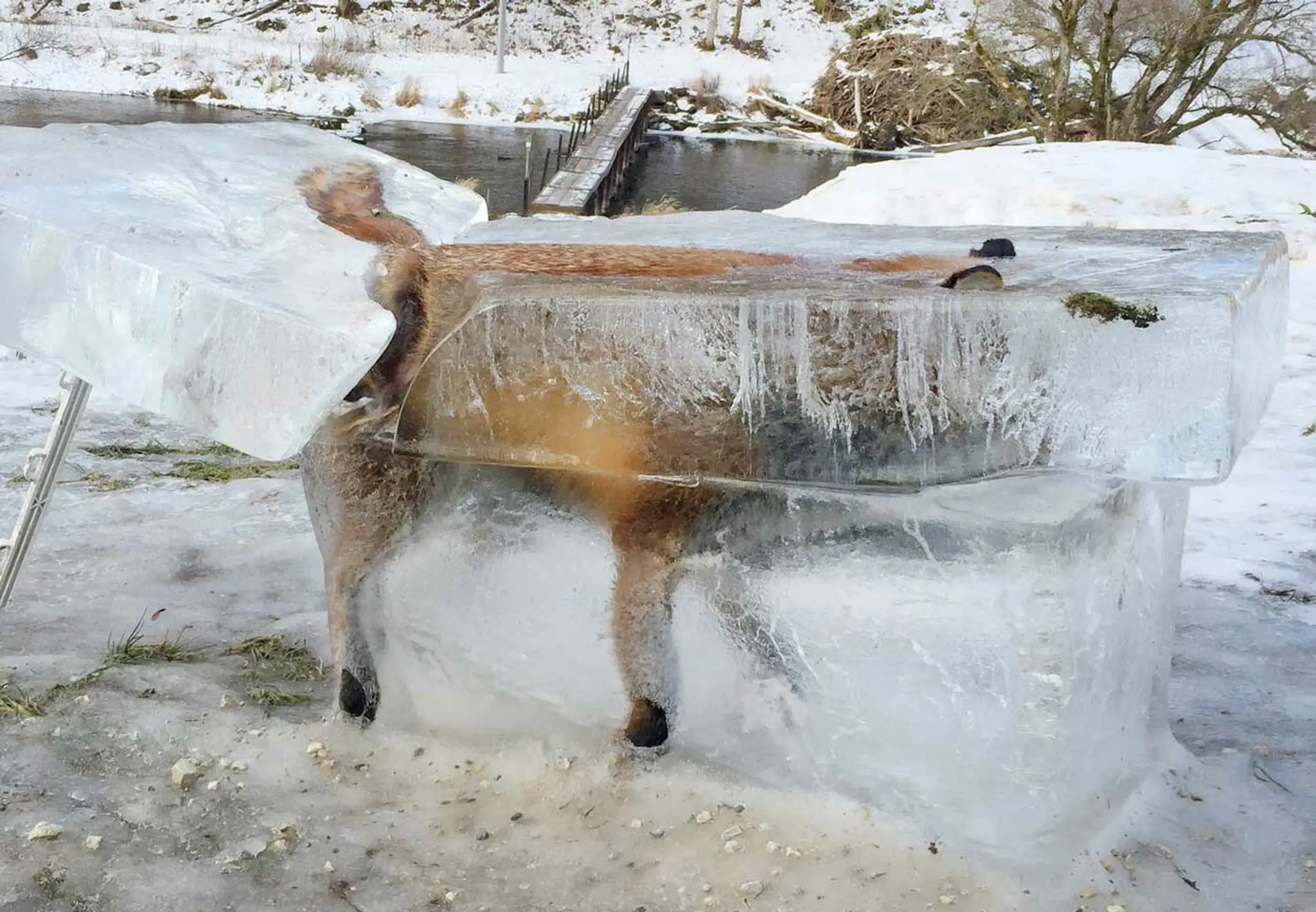 Má byť varovaním.