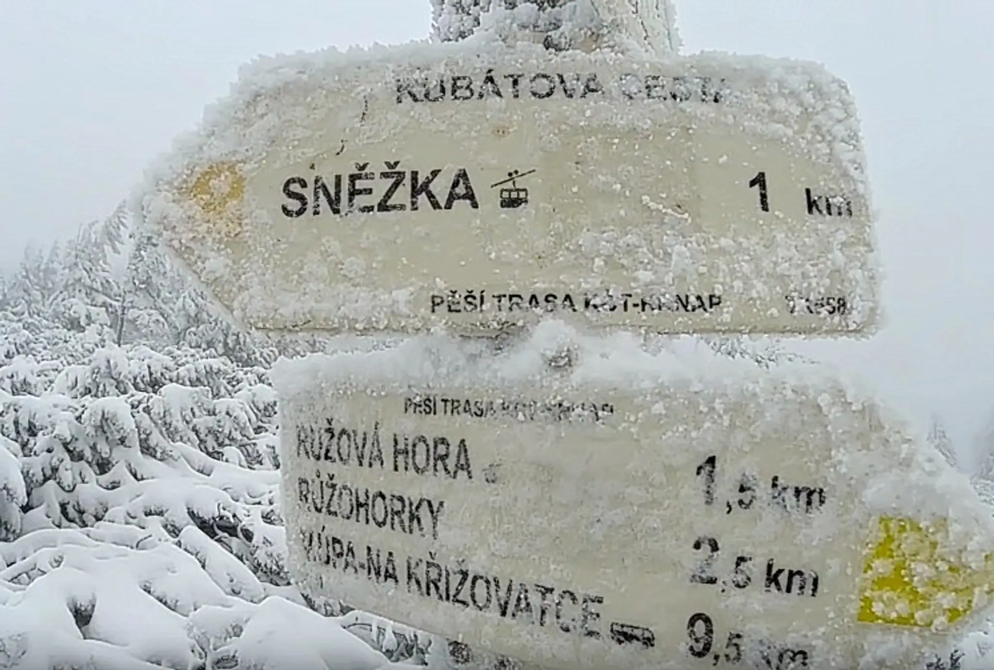 Sněžka