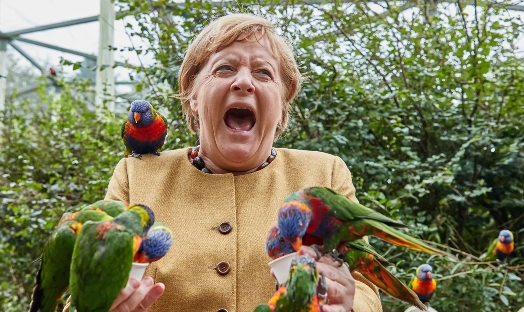 Angela Merkelová počas návštevy vtáčieho parku v Rostocku.