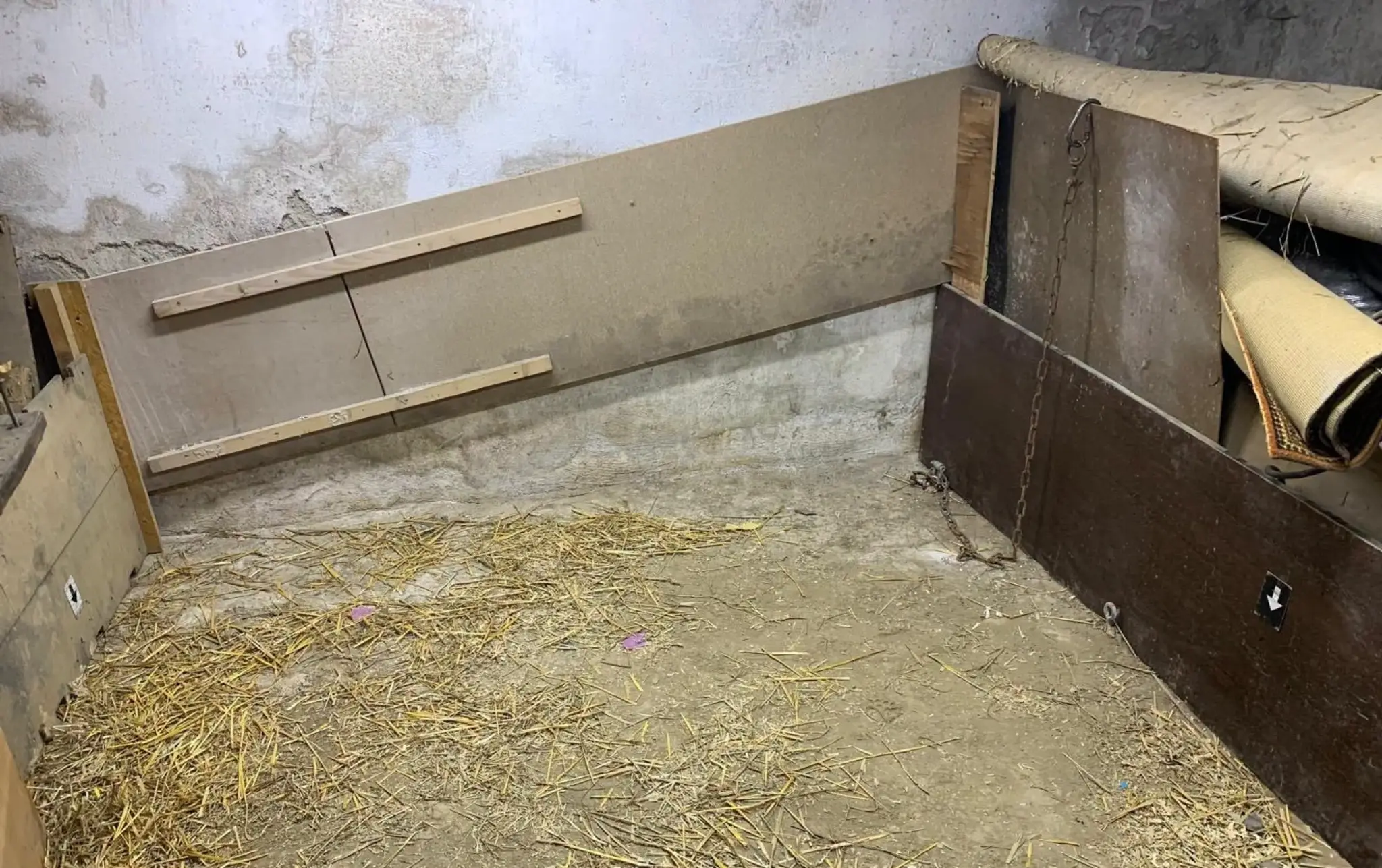 Mimoriadne kruté týranie zvierat.