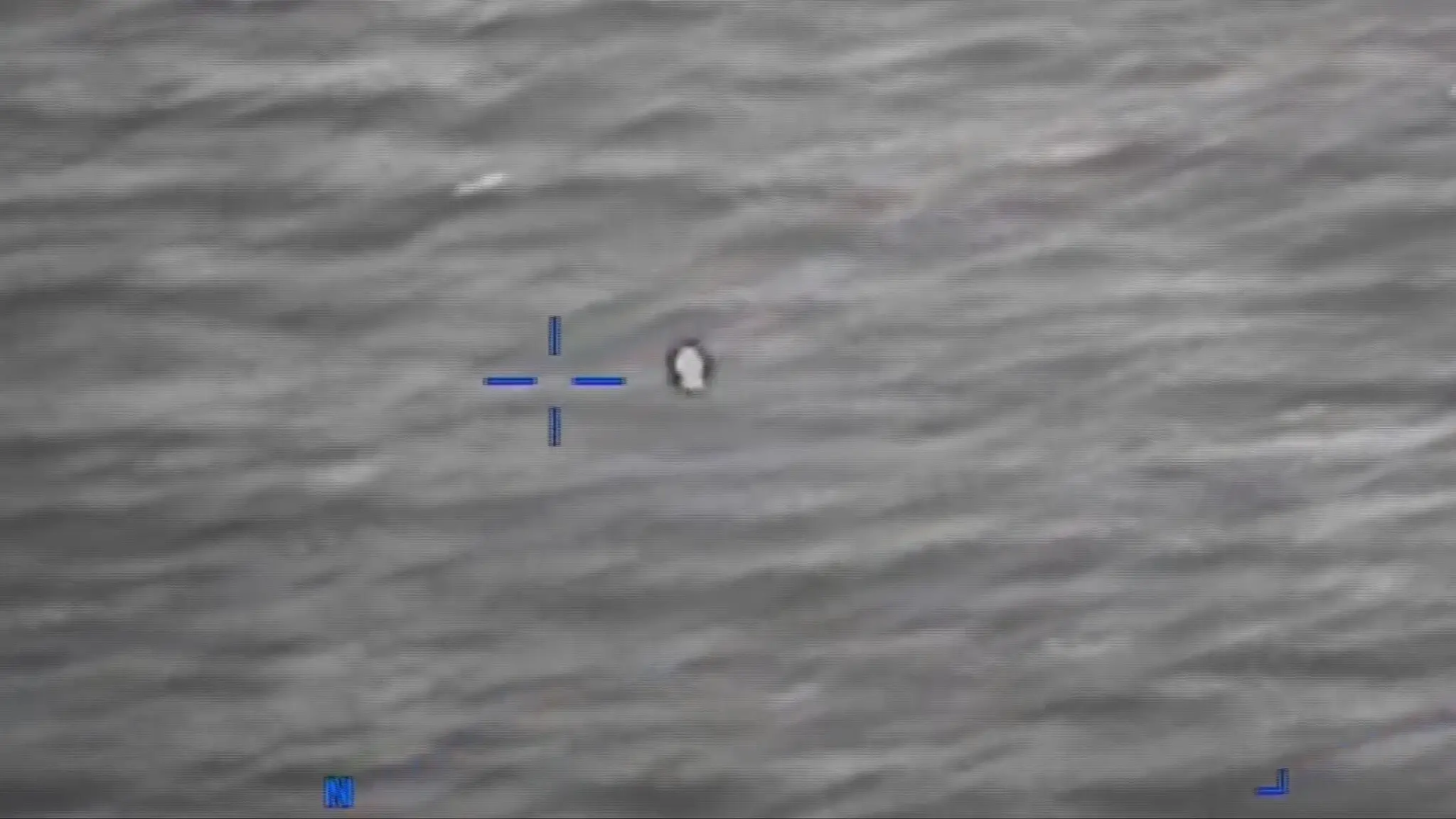 1Polemika Ufo