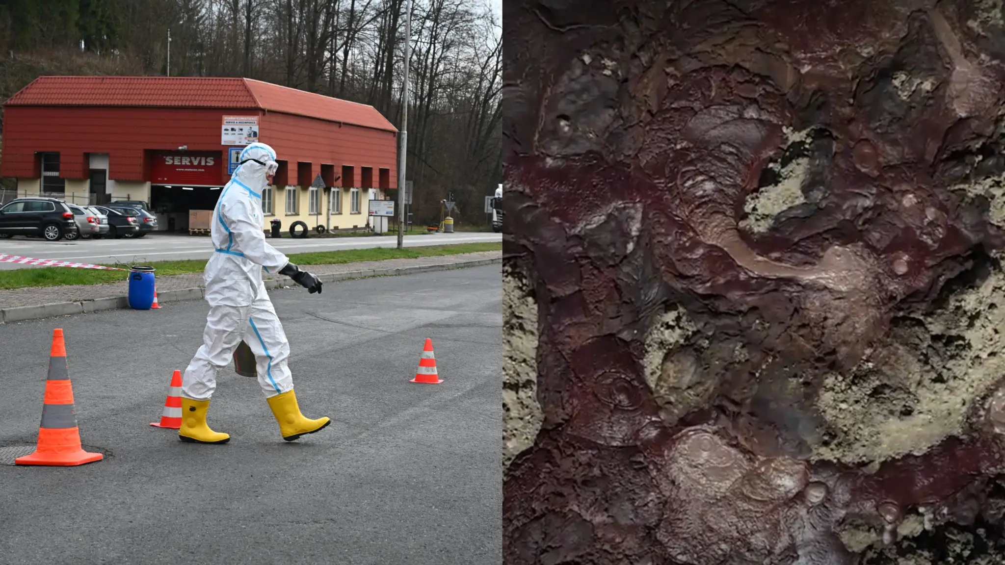 maďarsko krv