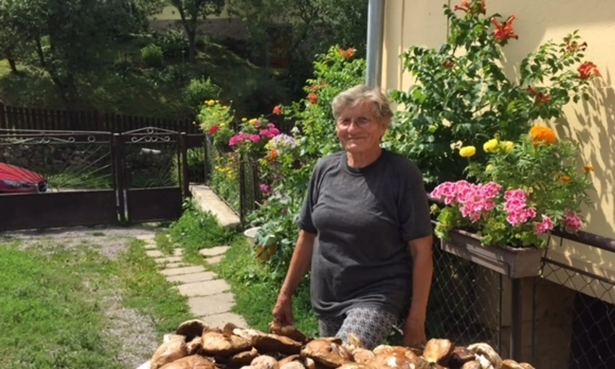 Zuzana našla šesťdesiat dubákov na jednom mieste  