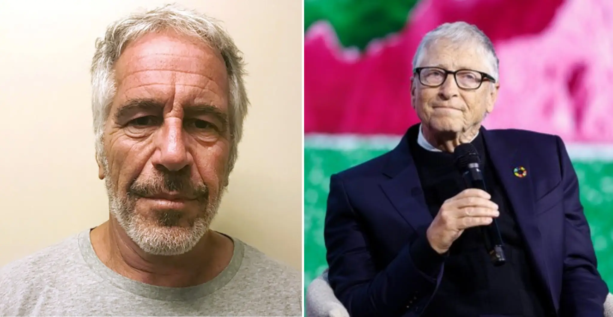 Epstein a Gates