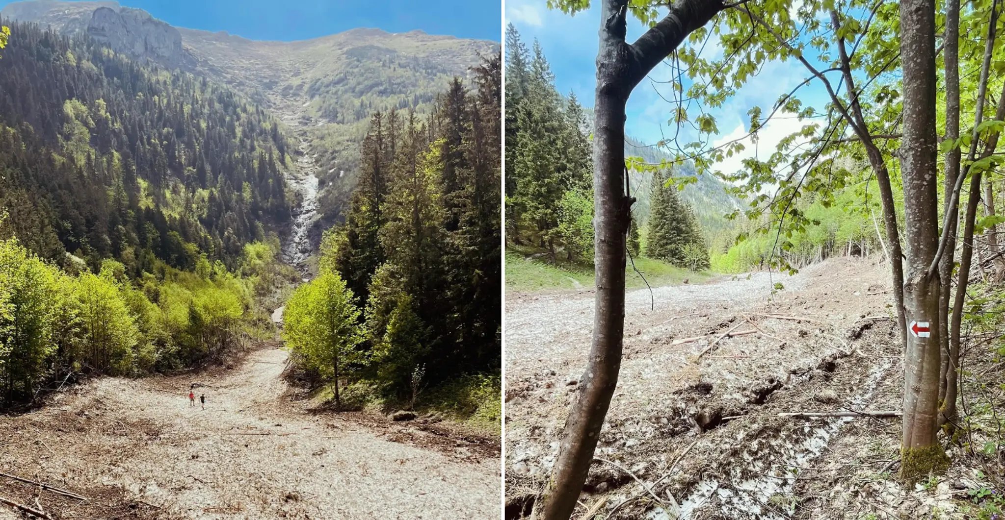 Ždiar – Široké sedlo (Monkova dolina)