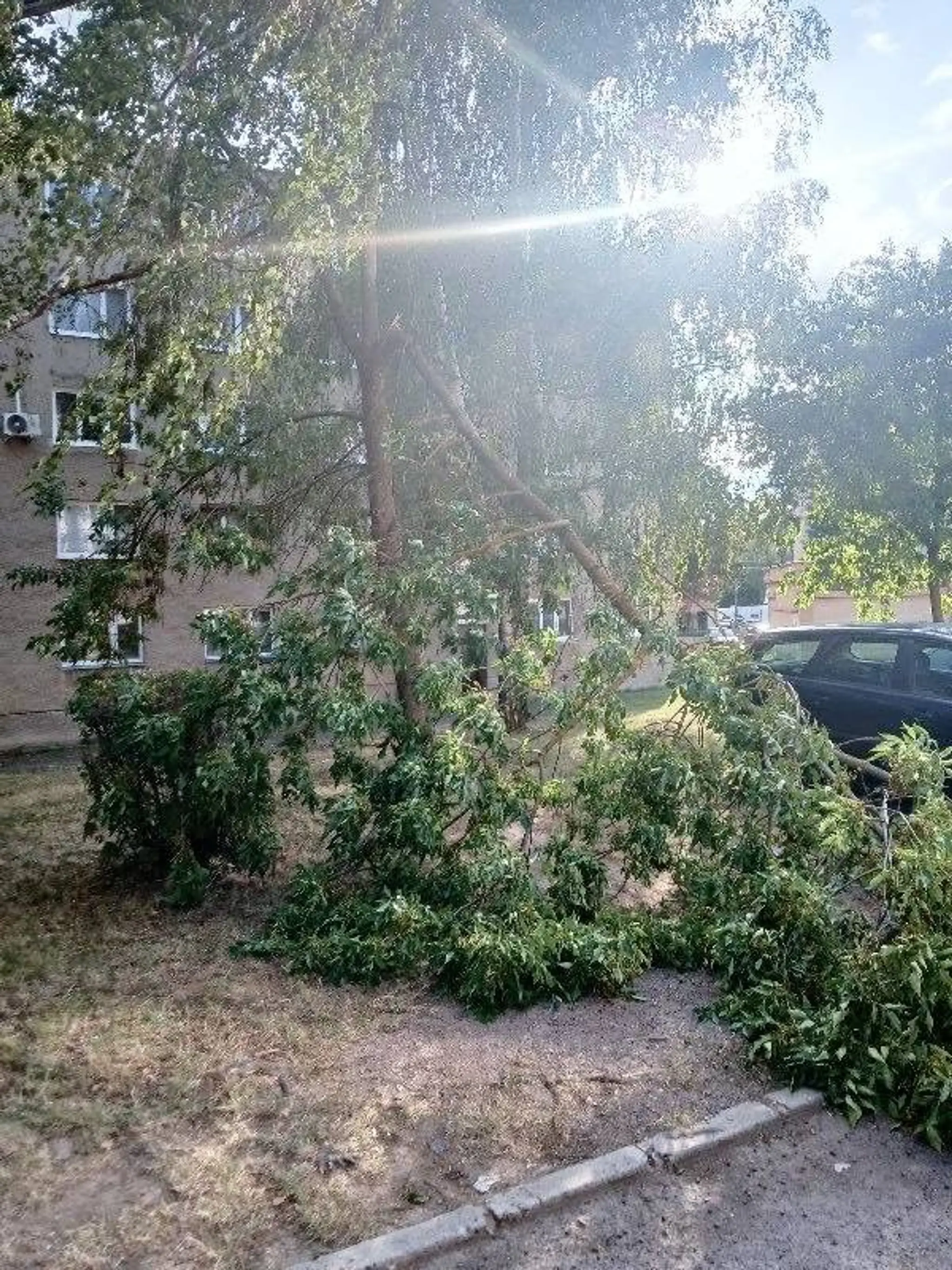 Následky extrémneho počasia v Nitrianskom kraji
