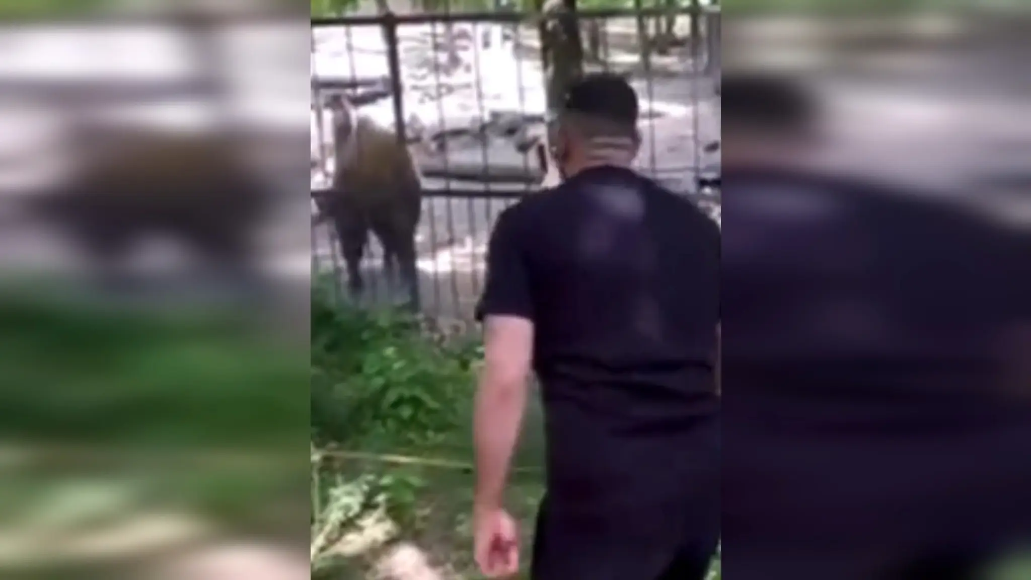agresívny návštevník v zoo