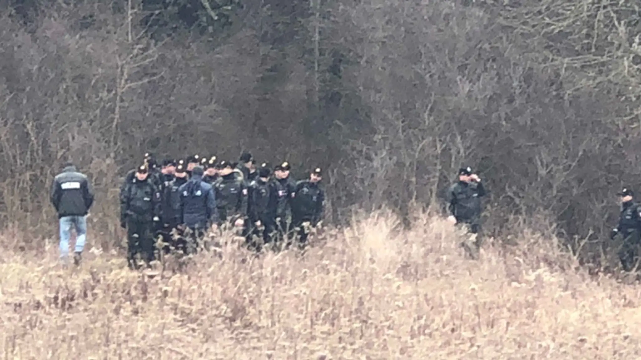 Policajti prehľadávajú Mačiansky háj.