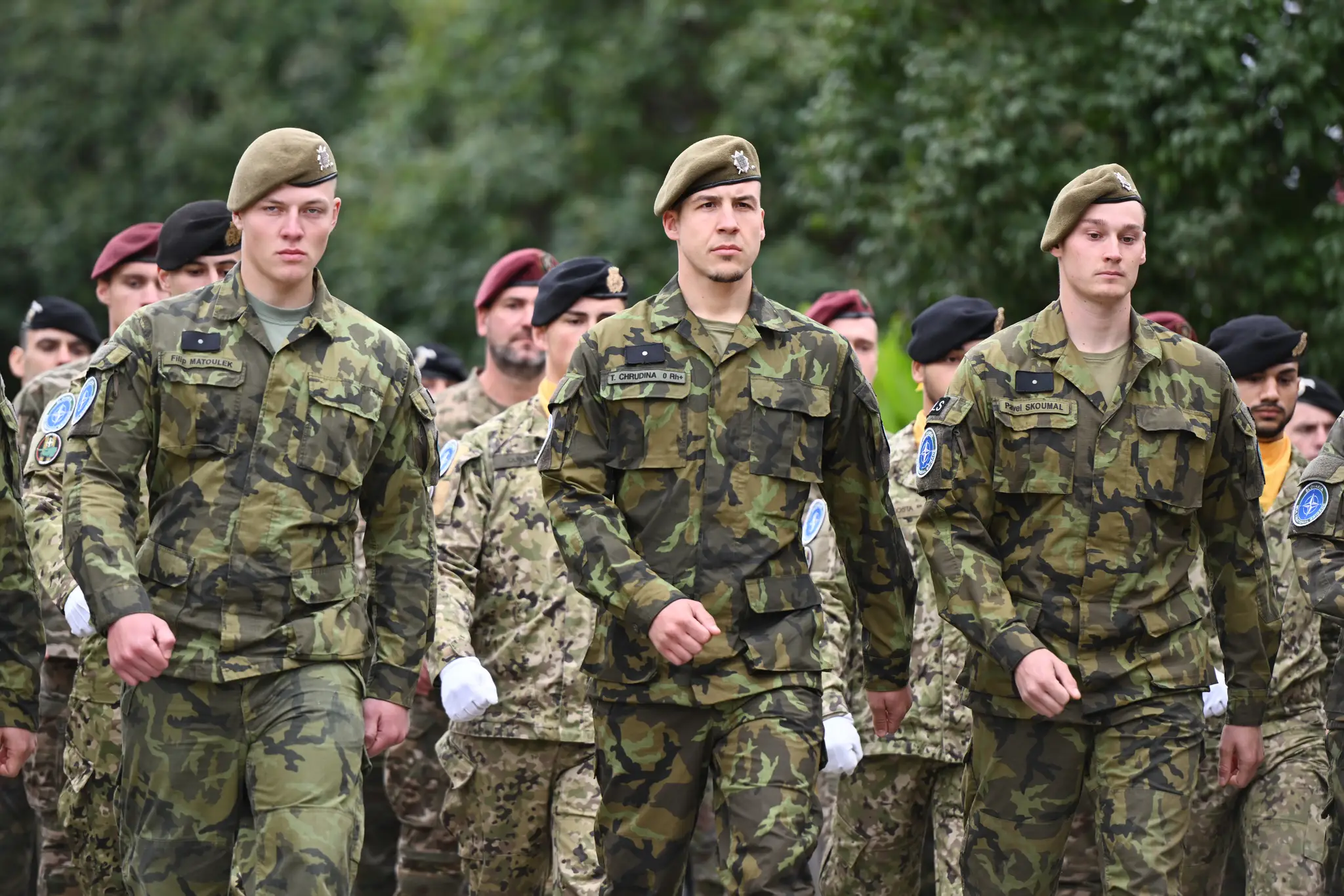 Snímka zo slávnostného vojenského nástupu v rámci podujatia Deň ozbrojených síl SR v Brezovej pod Bradlom.