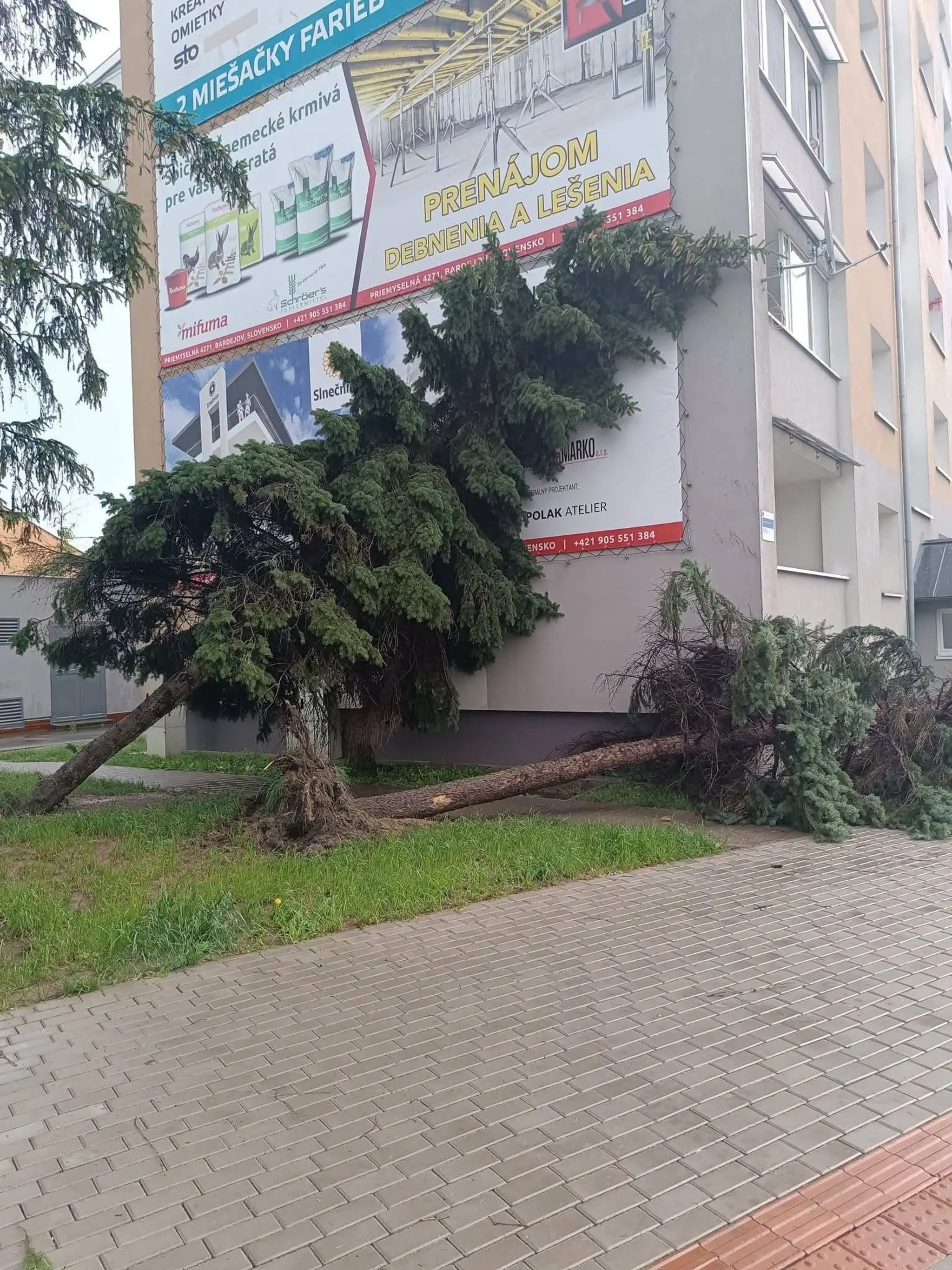 Škody v Bardejove