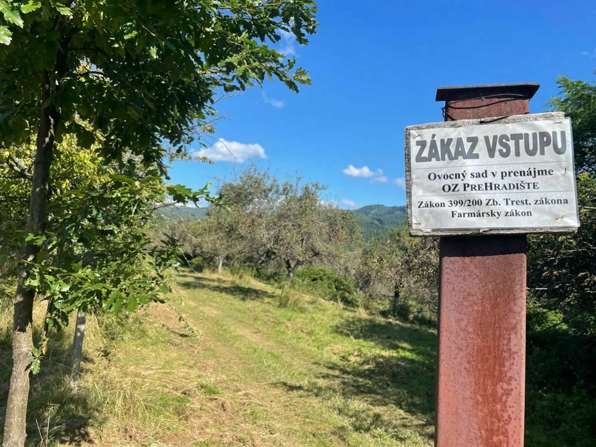 Ovocný sad pri obci Hradište. Medveď tu zaútočil na ženu.
