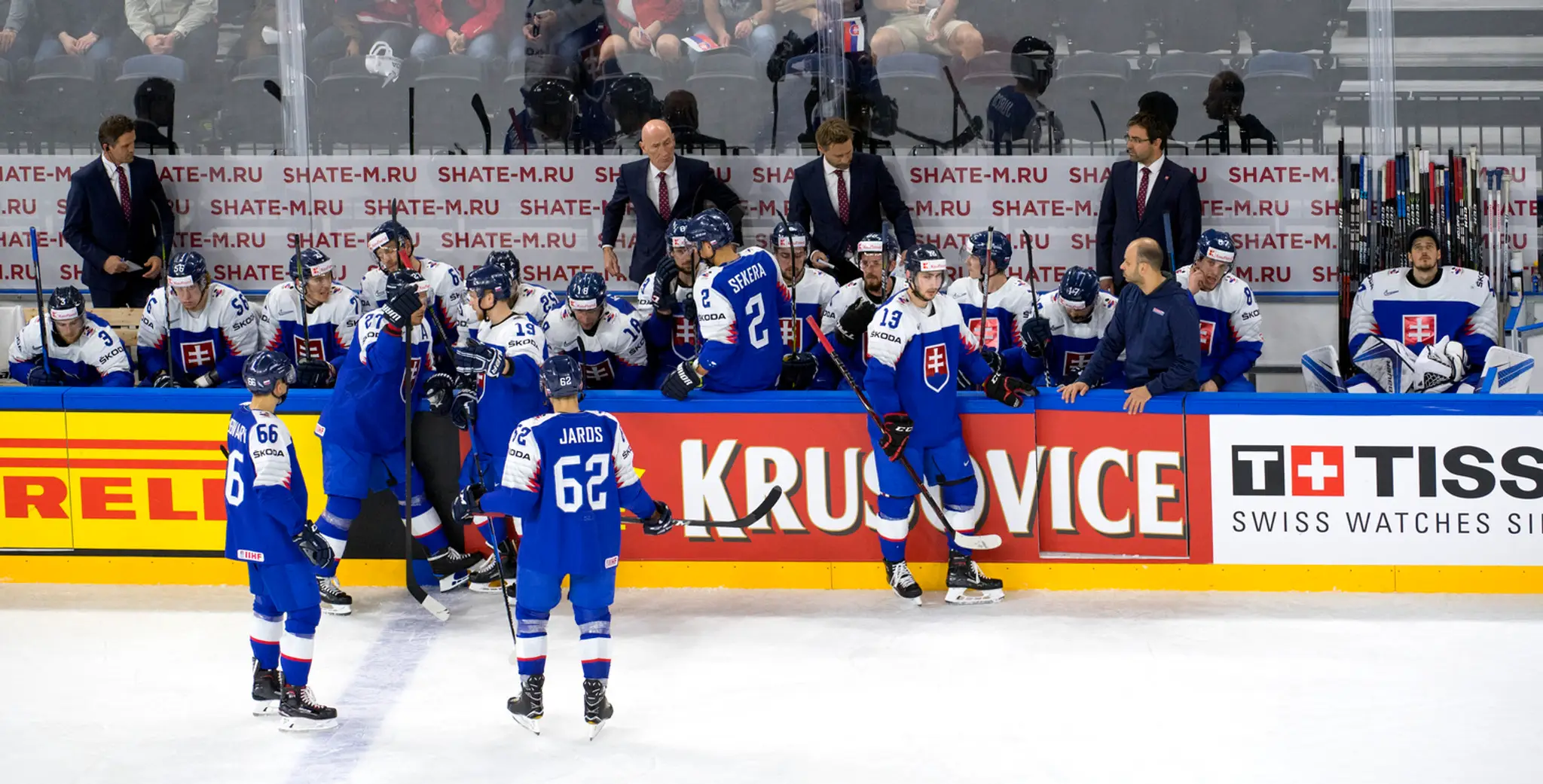 Striedačka slovenského tímu v zápase na MS 2018 proti Francúzsku.