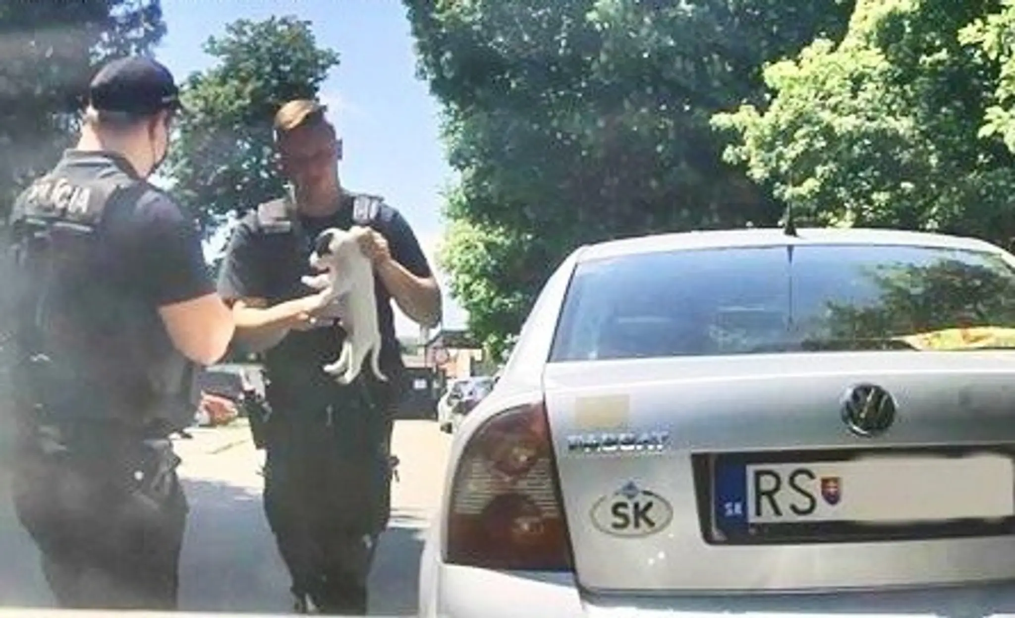 Policajti zachraňovali psa.