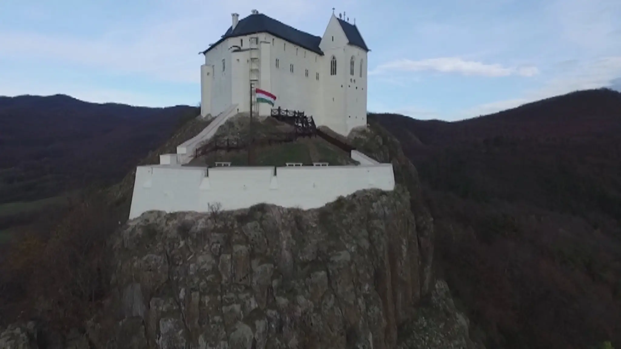 Vlčie mláďatá.