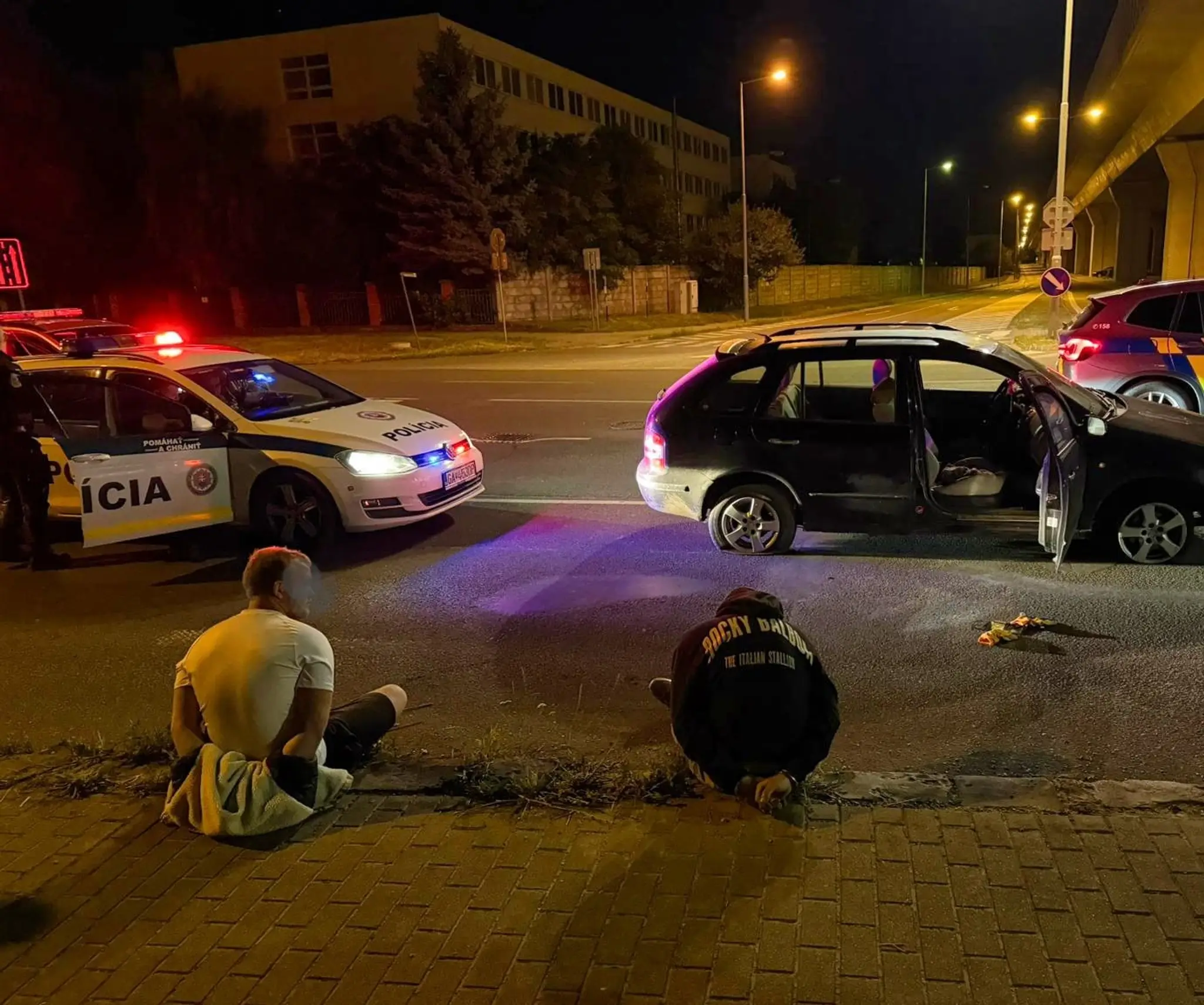 policajná nahánačka 