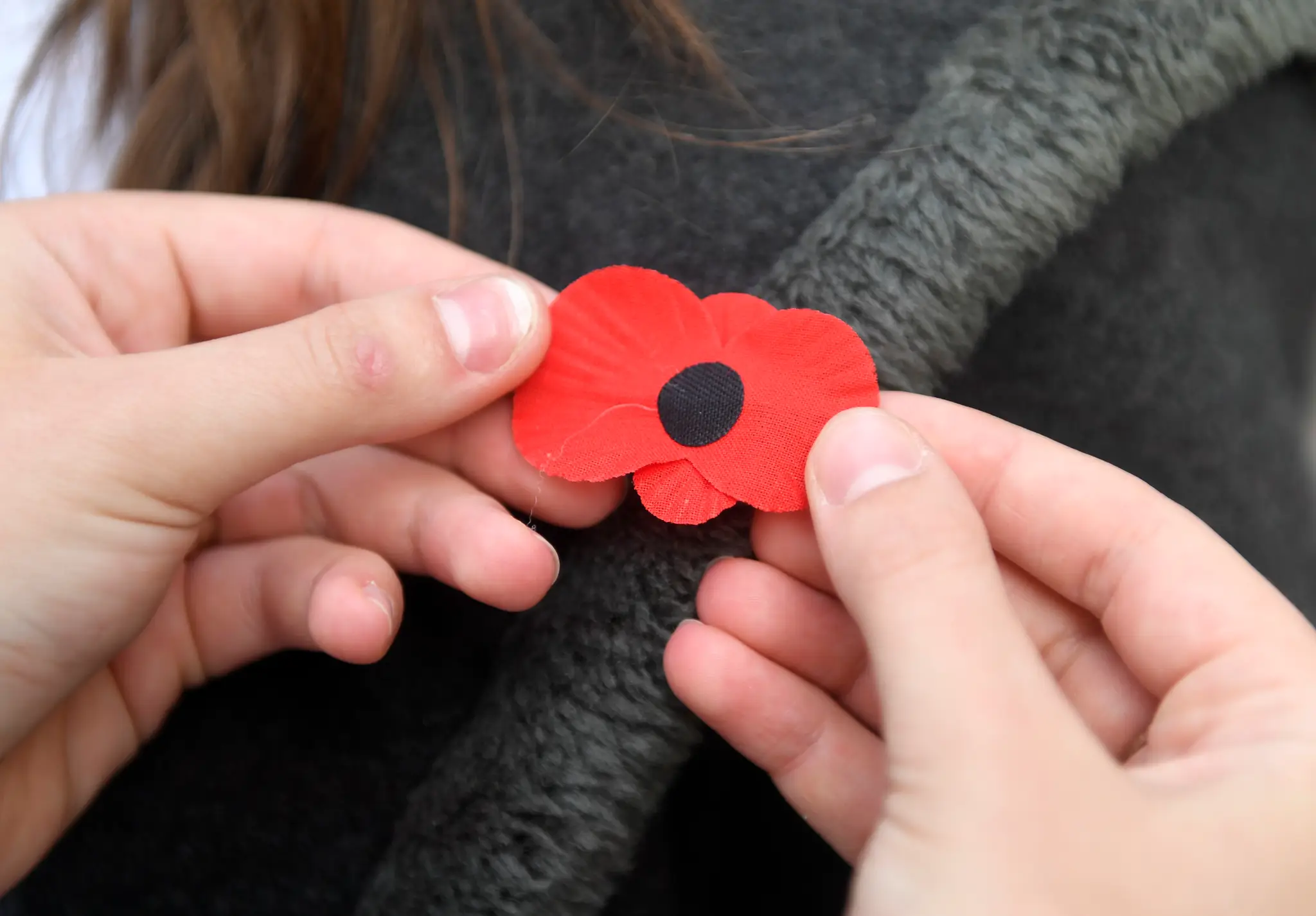 Červený mak ako symbol vojnových veteránov. 